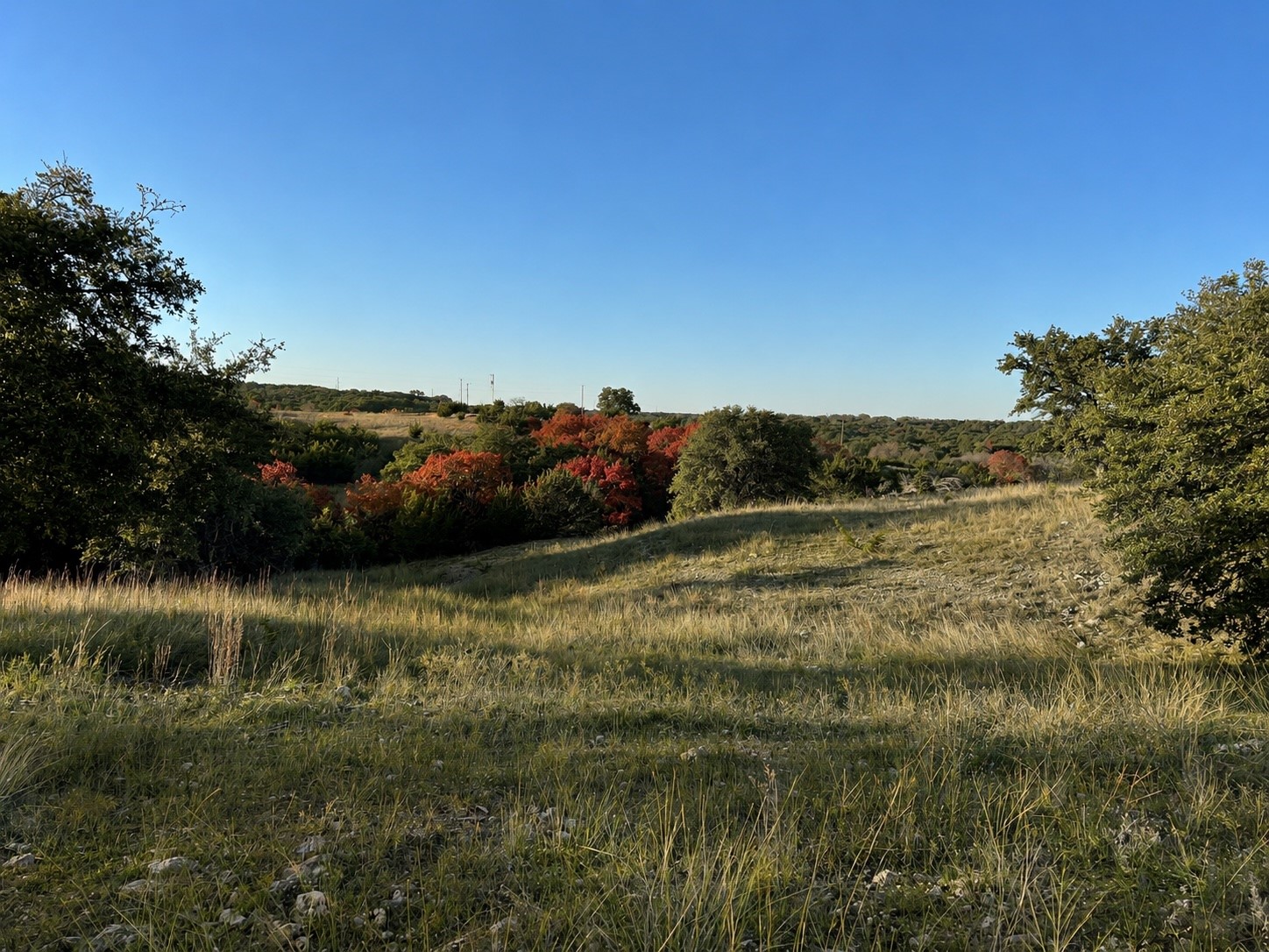 1146 Hidden Cove Trail Glen Rose TX 76043