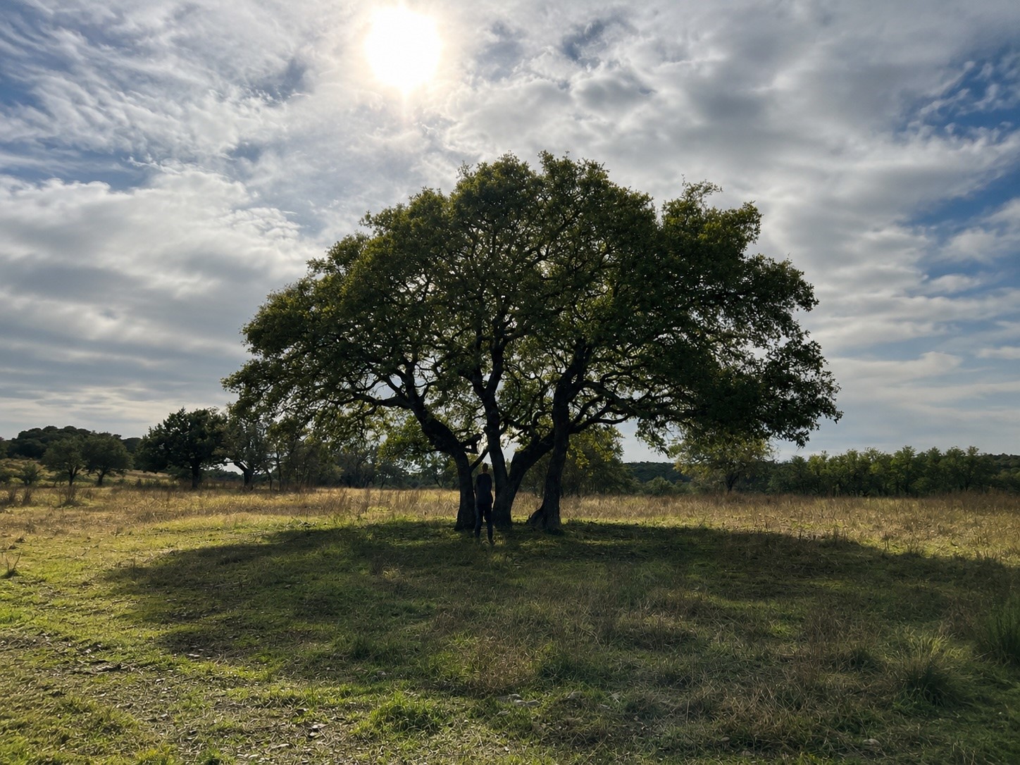 1146 Hidden Cove Trail Glen Rose TX 76043