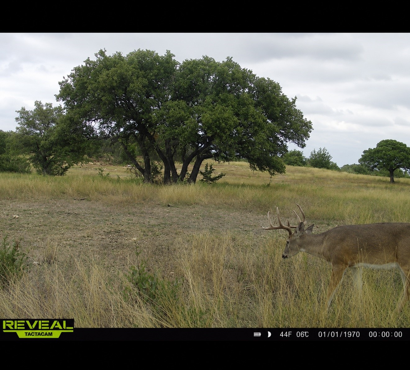 1146 Hidden Cove Trail Glen Rose TX 76043