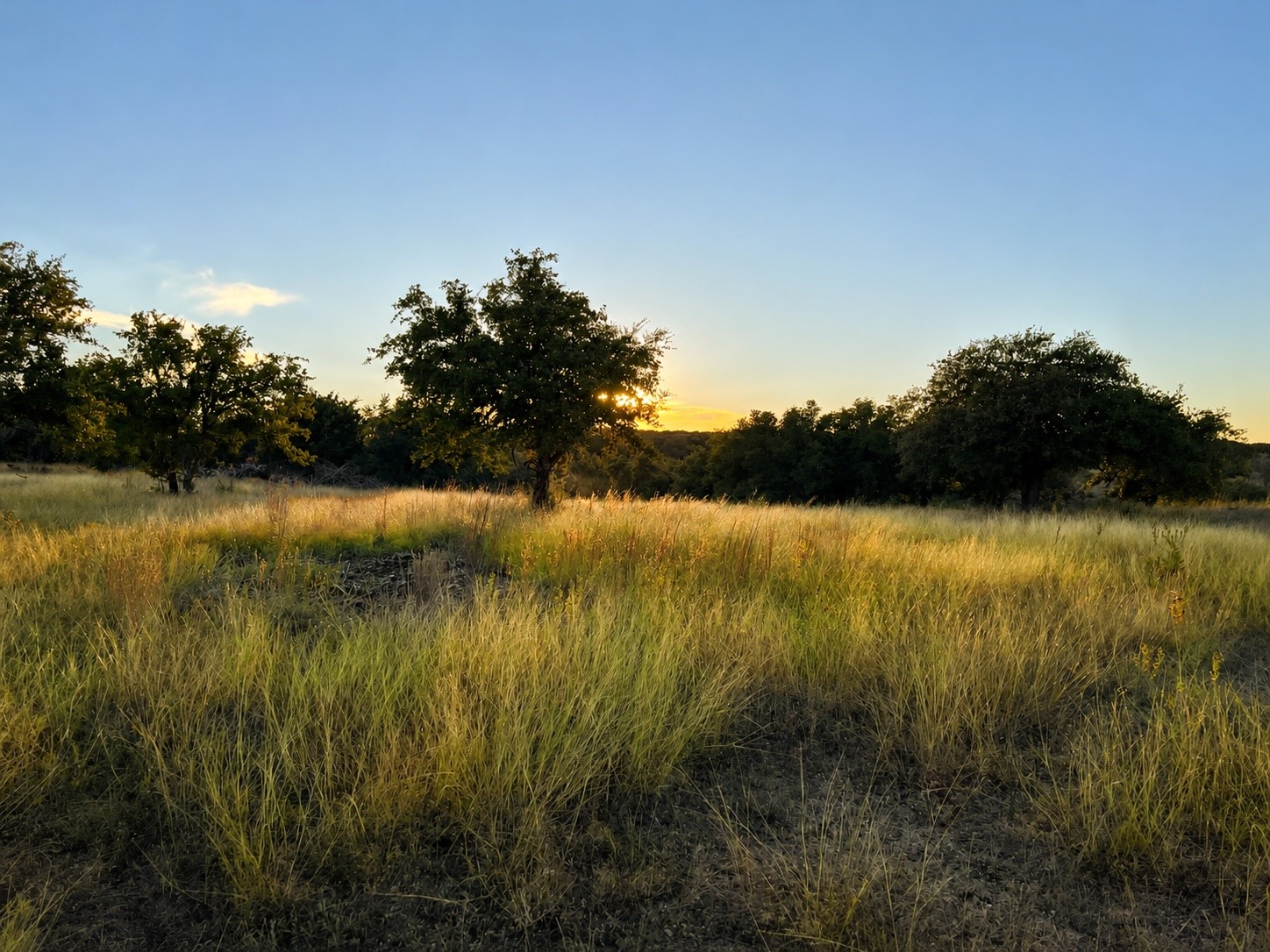 1146 Hidden Cove Trail Glen Rose TX 76043
