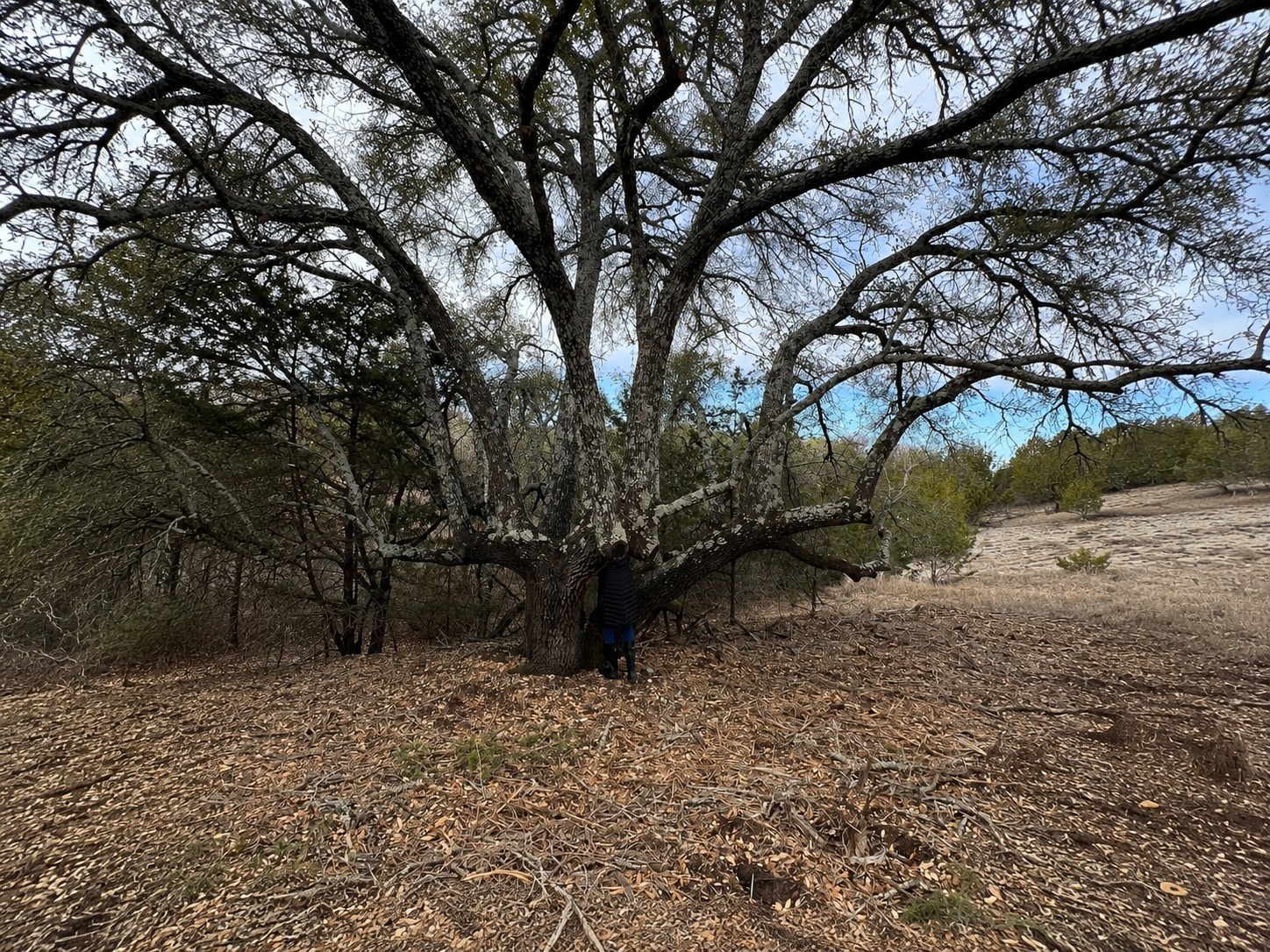 1146 Hidden Cove Trail Glen Rose TX 76043
