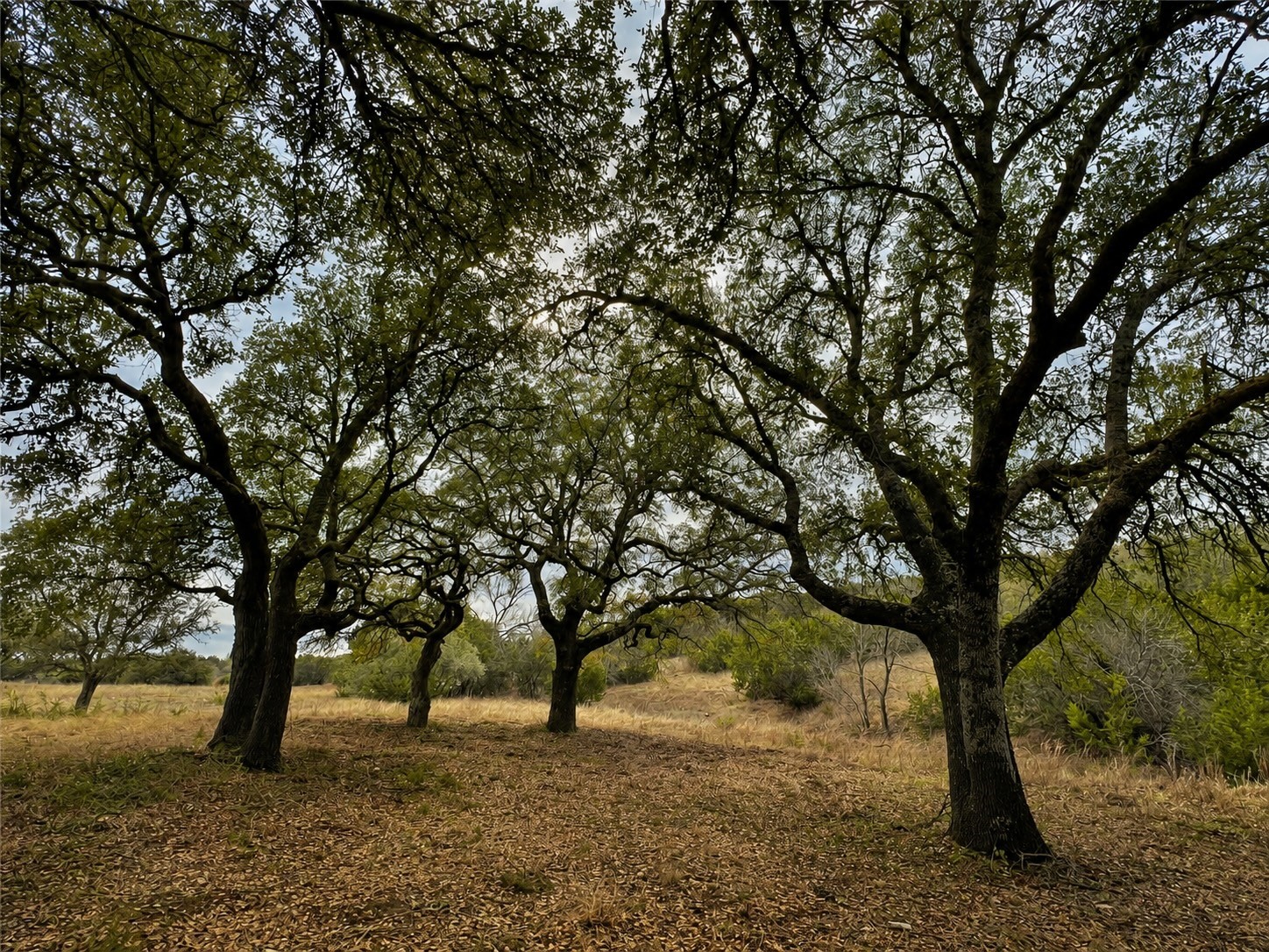 1146 Hidden Cove Trail Glen Rose TX 76043