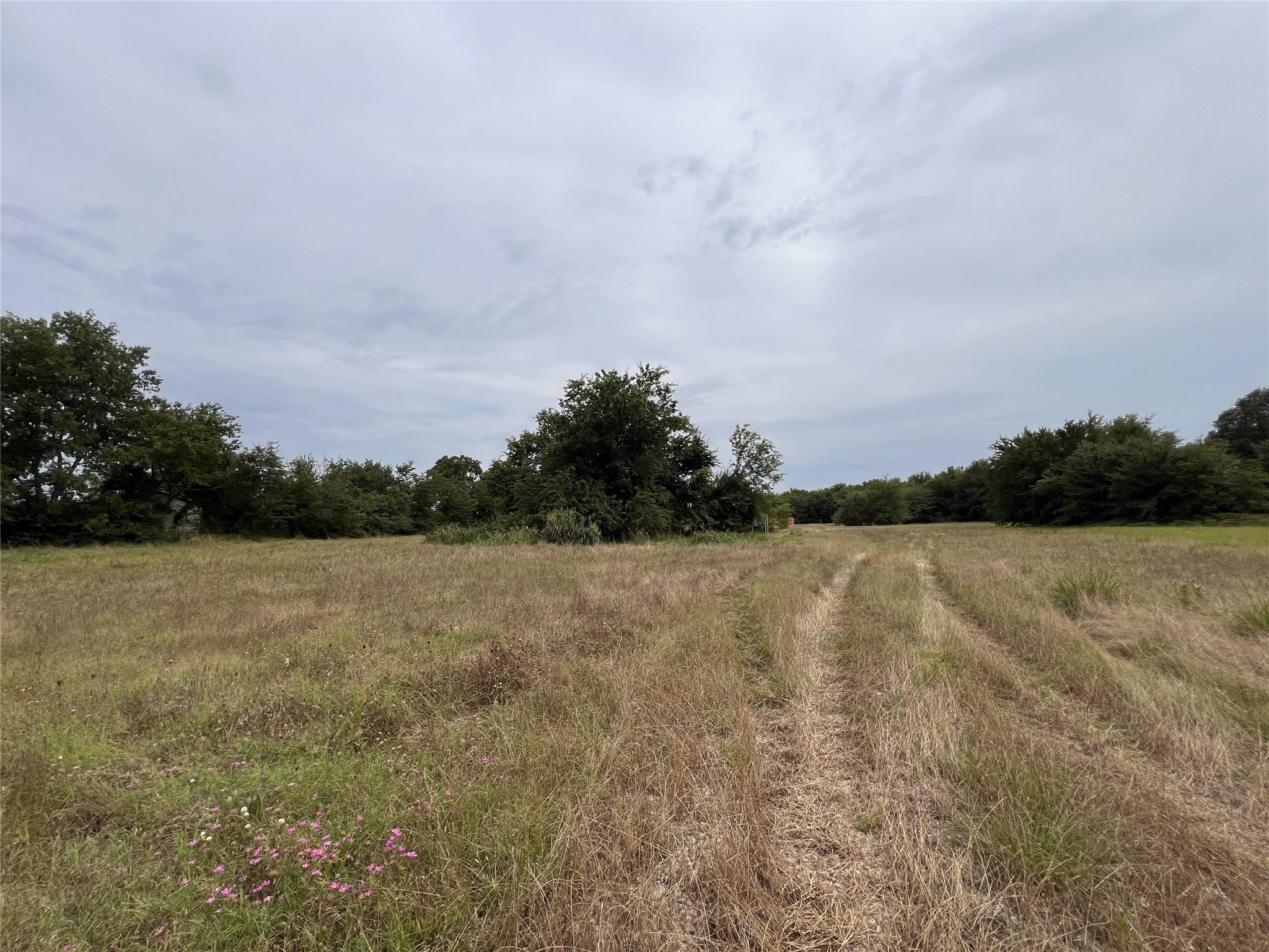 279 W Fm-71 Sulphur Springs TX 75482