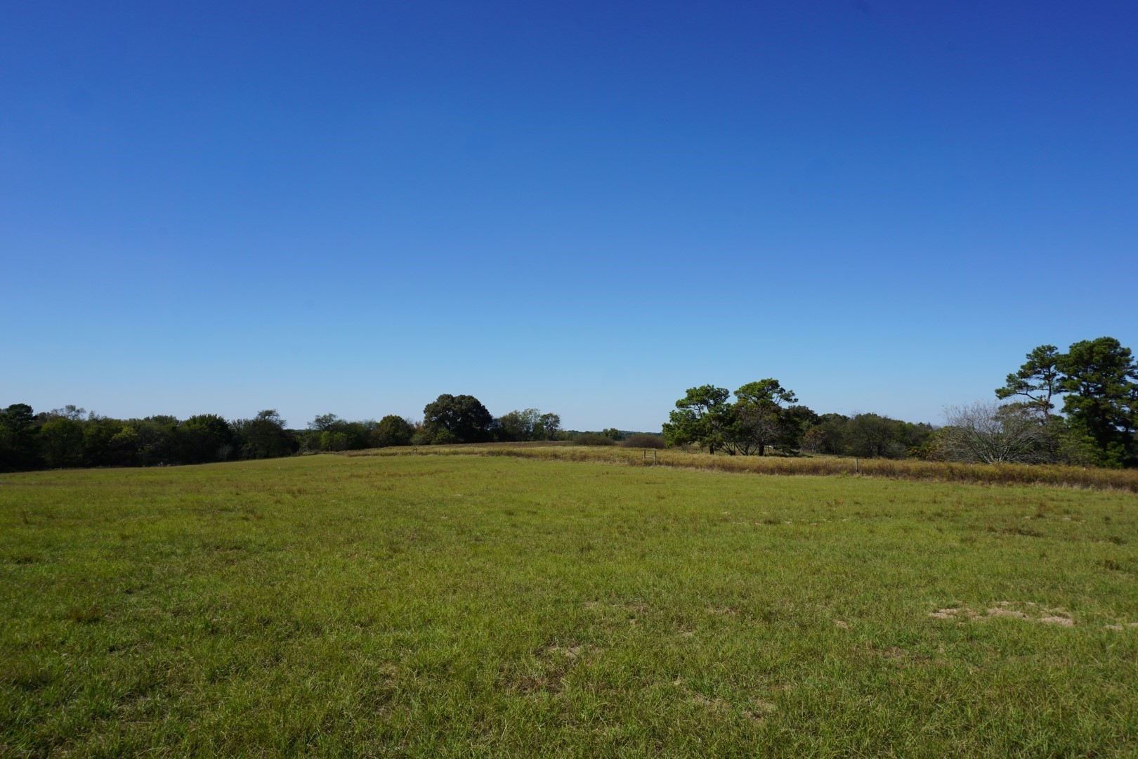 4301 Plainview Road Naples TX 75571