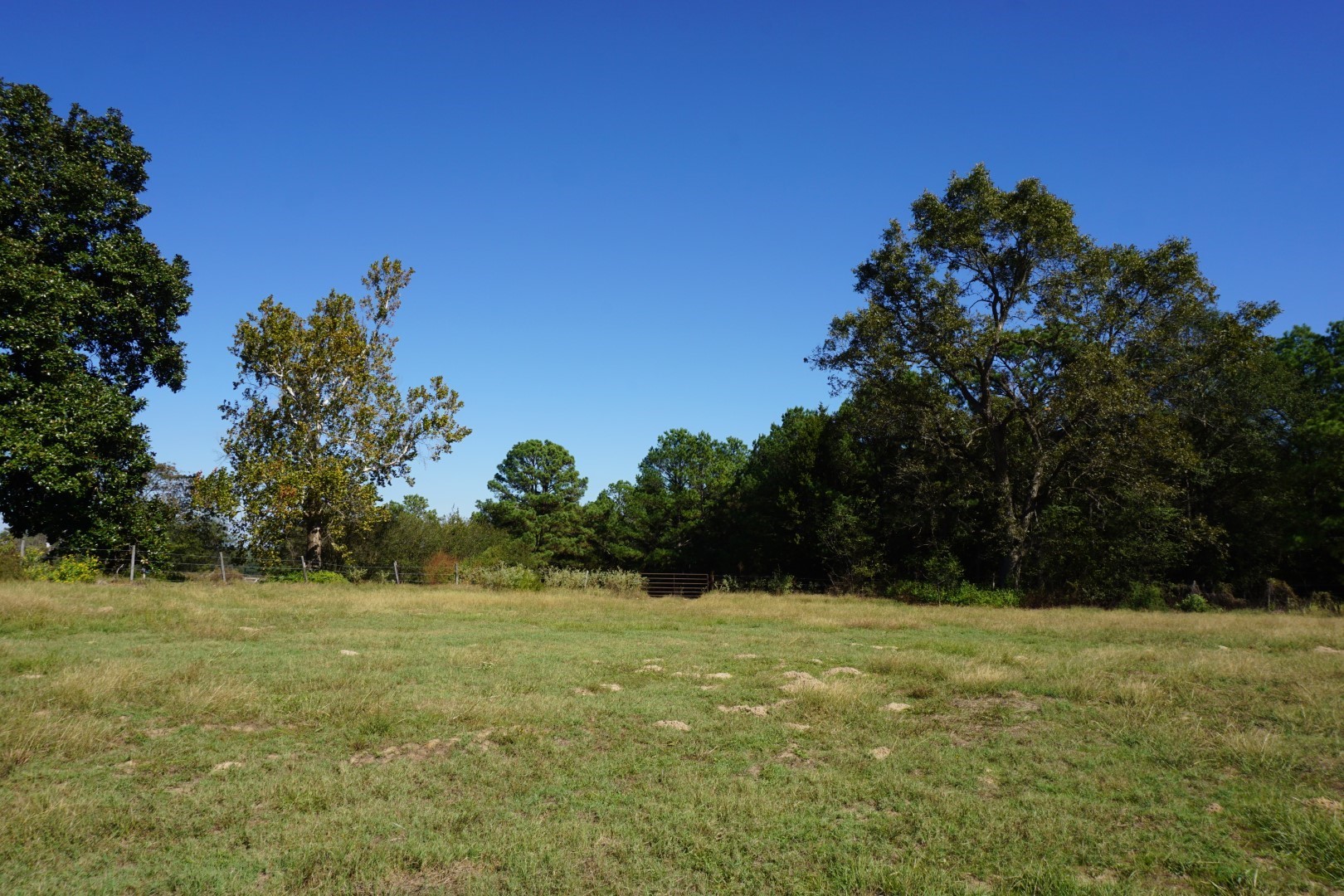4301 Plainview Road Naples TX 75571