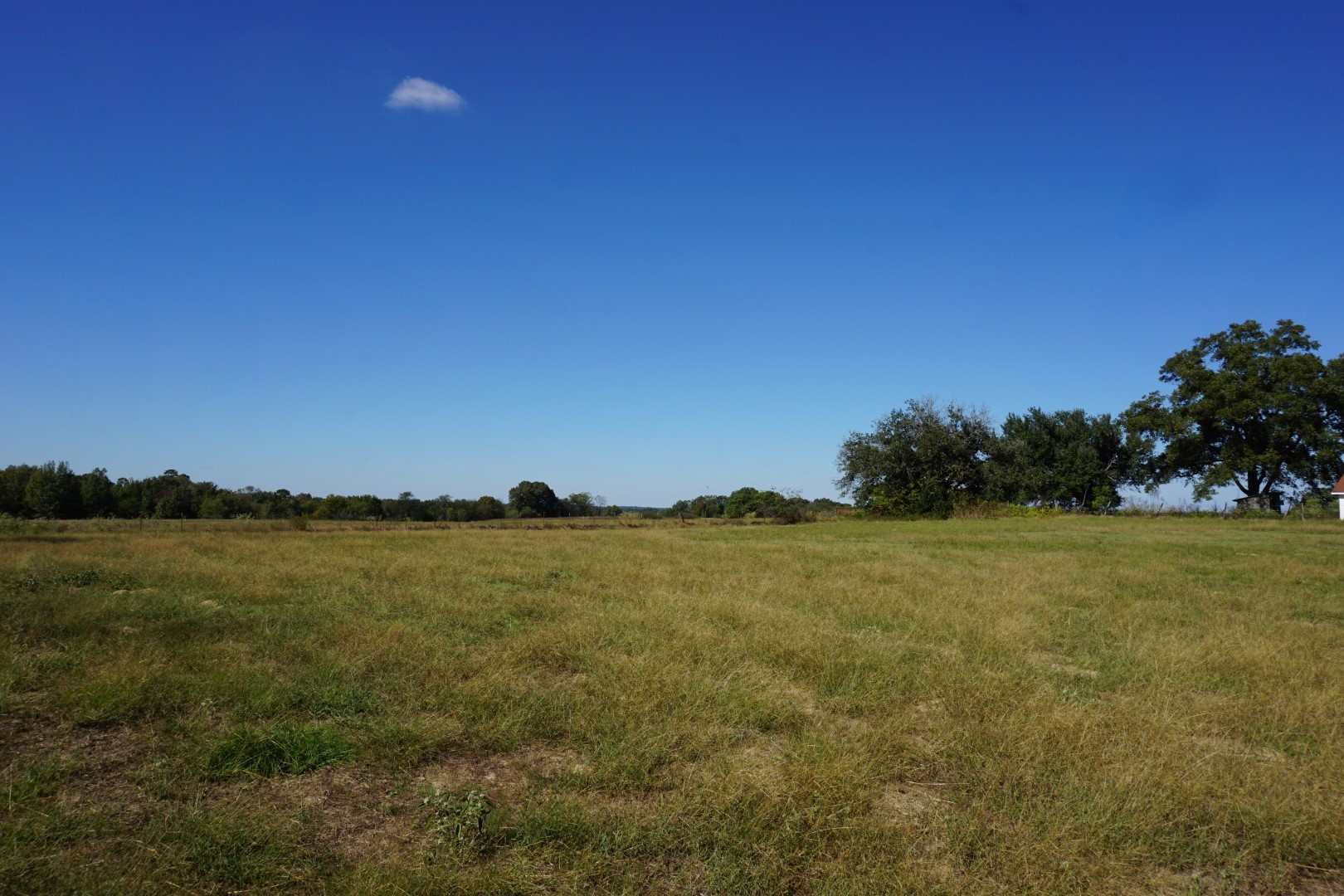 4301 Plainview Road Naples TX 75571
