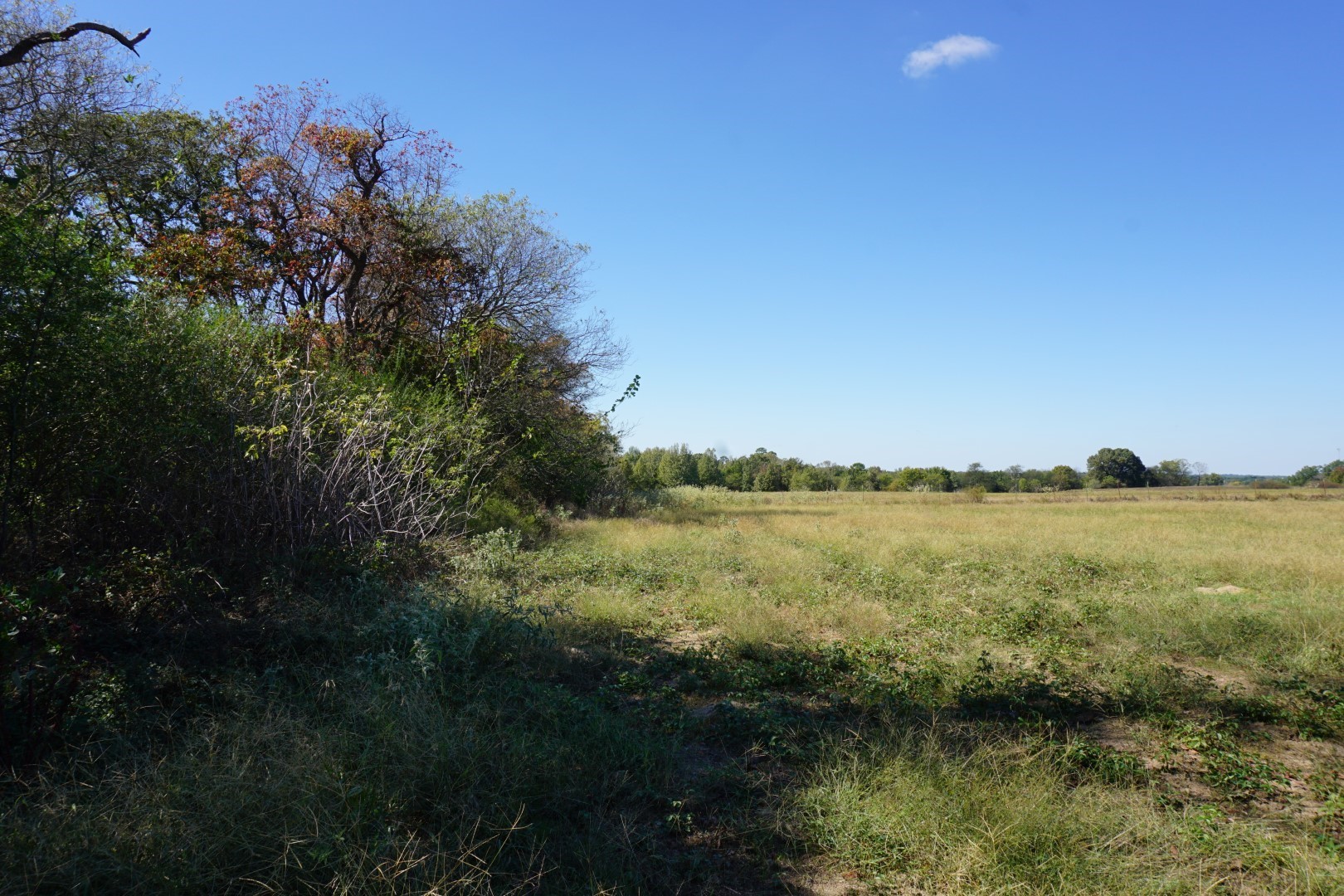 4301 Plainview Road Naples TX 75571
