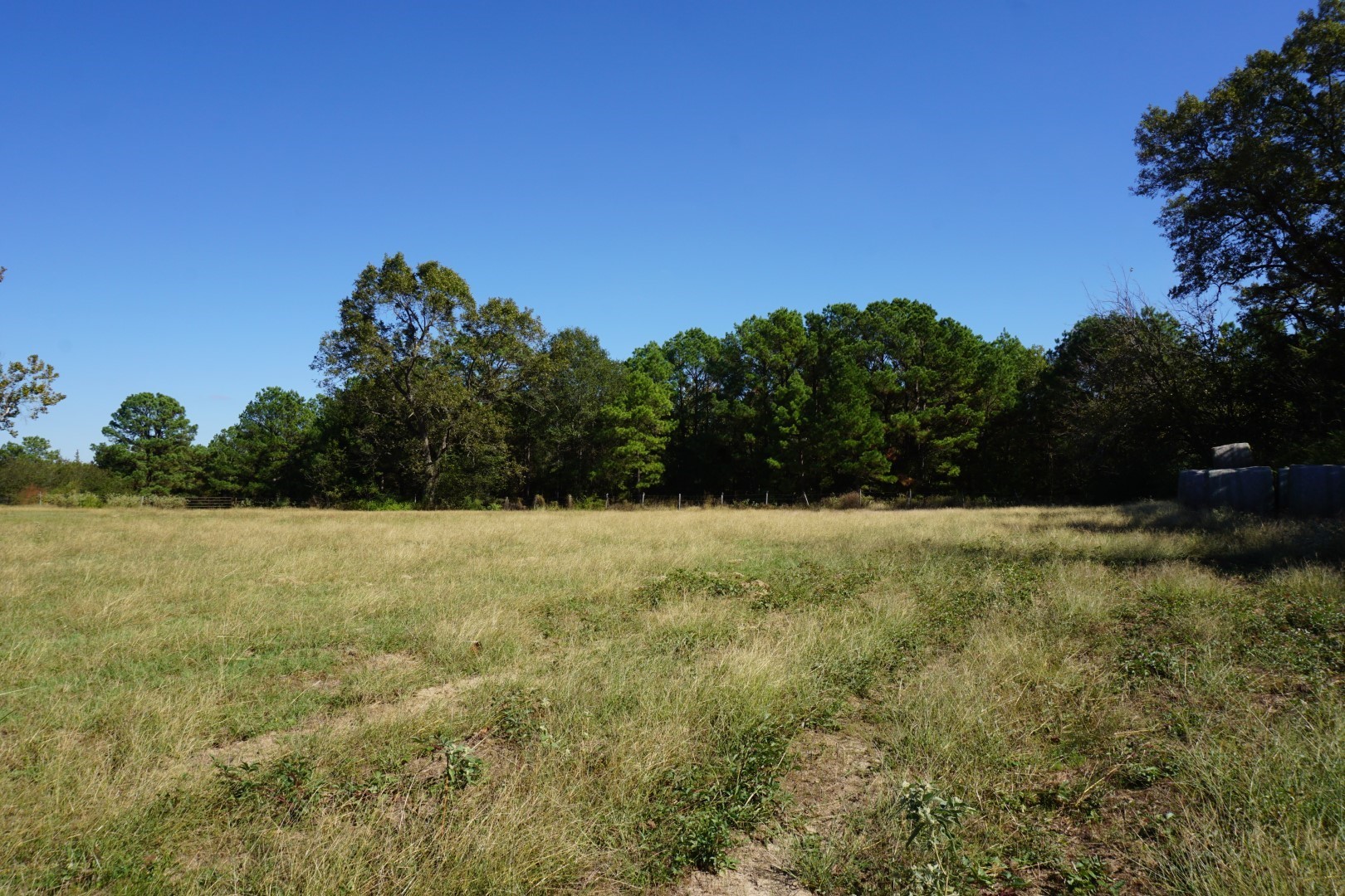 4301 Plainview Road Naples TX 75571
