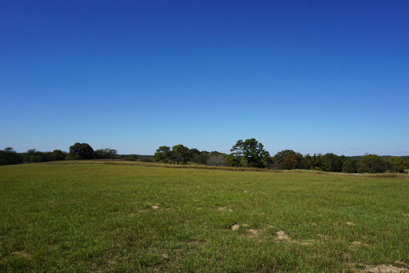 4301 Plainview Road Naples TX 75571