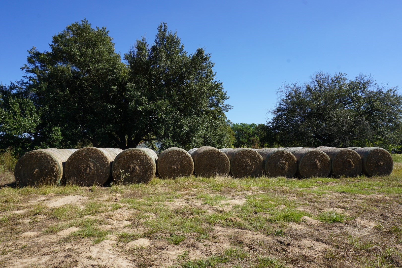 4301 Plainview Road Naples TX 75571