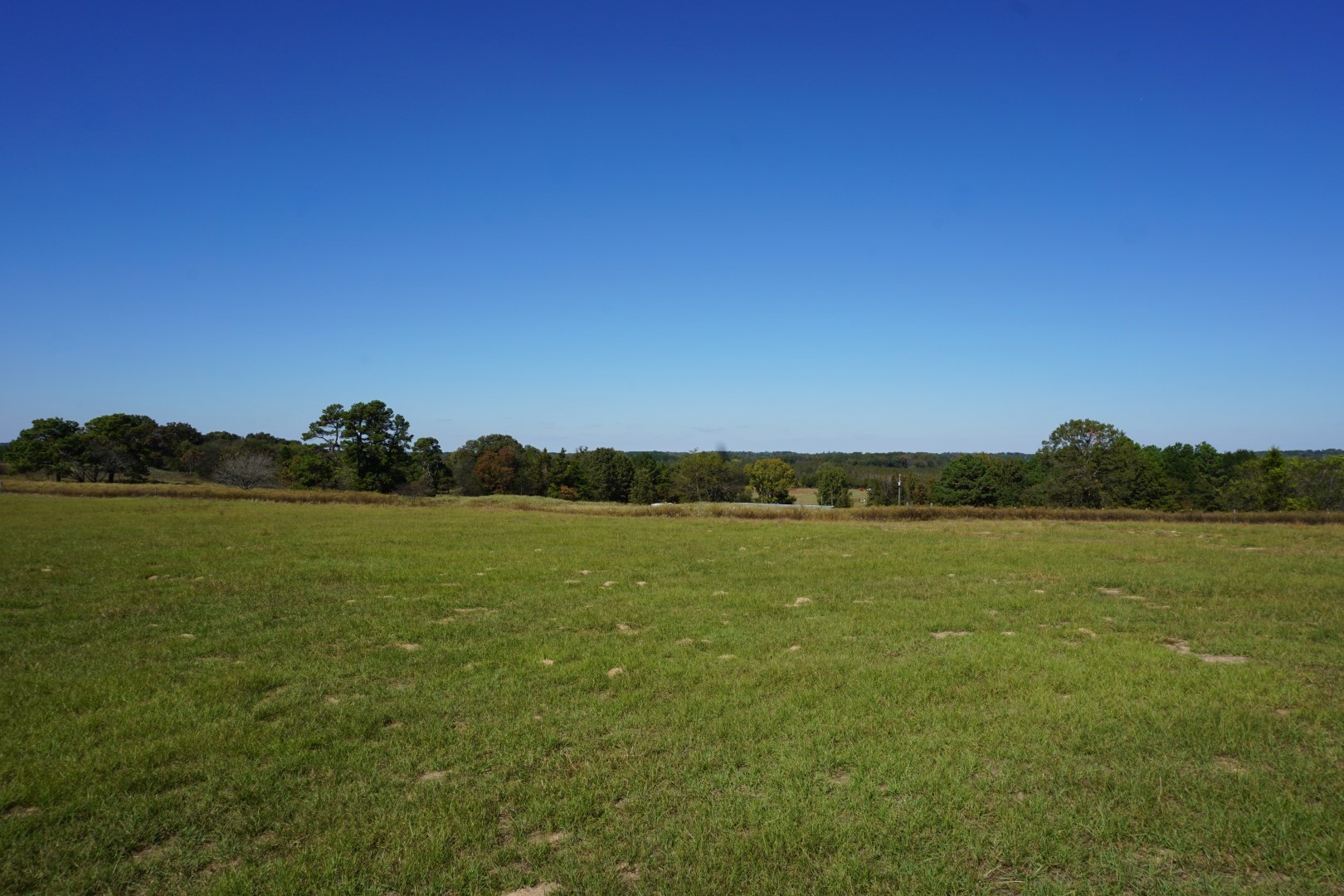 4301 Plainview Road Naples TX 75571