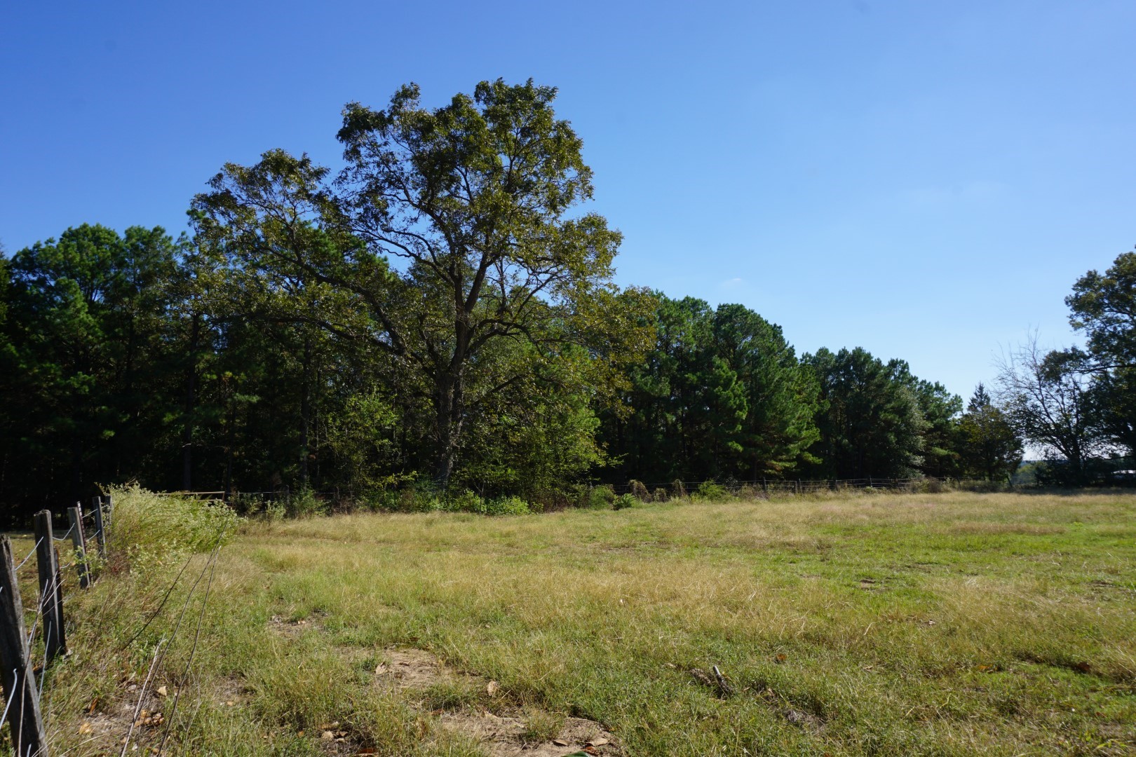 4301 Plainview Road Naples TX 75571