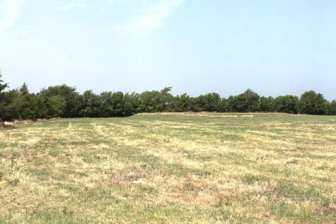 9788 Farm Road 128 Ben Franklin TX 75415