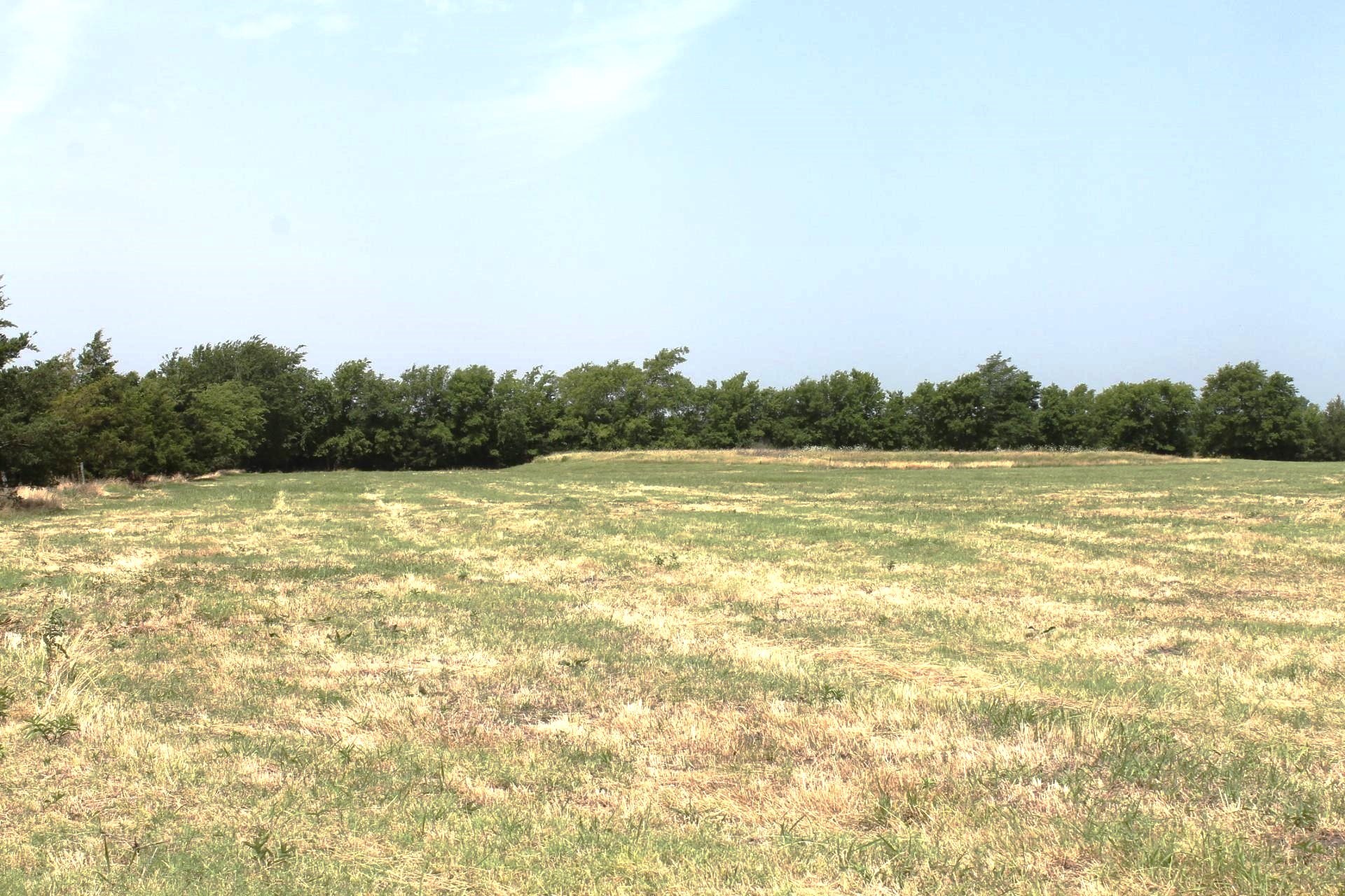 9788 Farm Road 128 Ben Franklin TX 75415