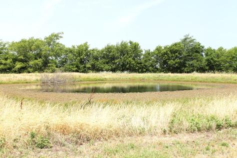9788 Farm Road 128 Ben Franklin TX 75415