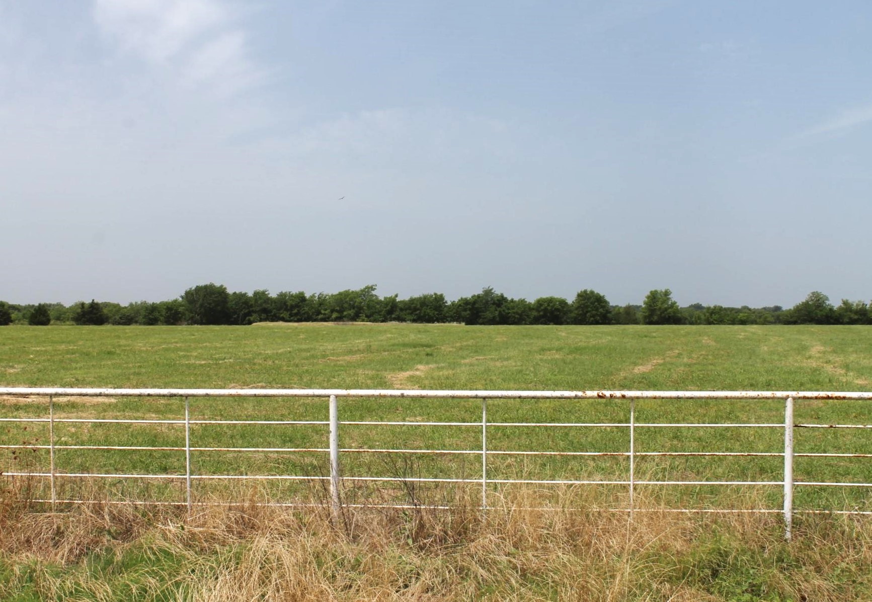 9788 Farm Road 128 Ben Franklin TX 75415