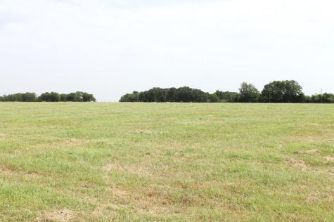 9788 Farm Road 128 Ben Franklin TX 75415