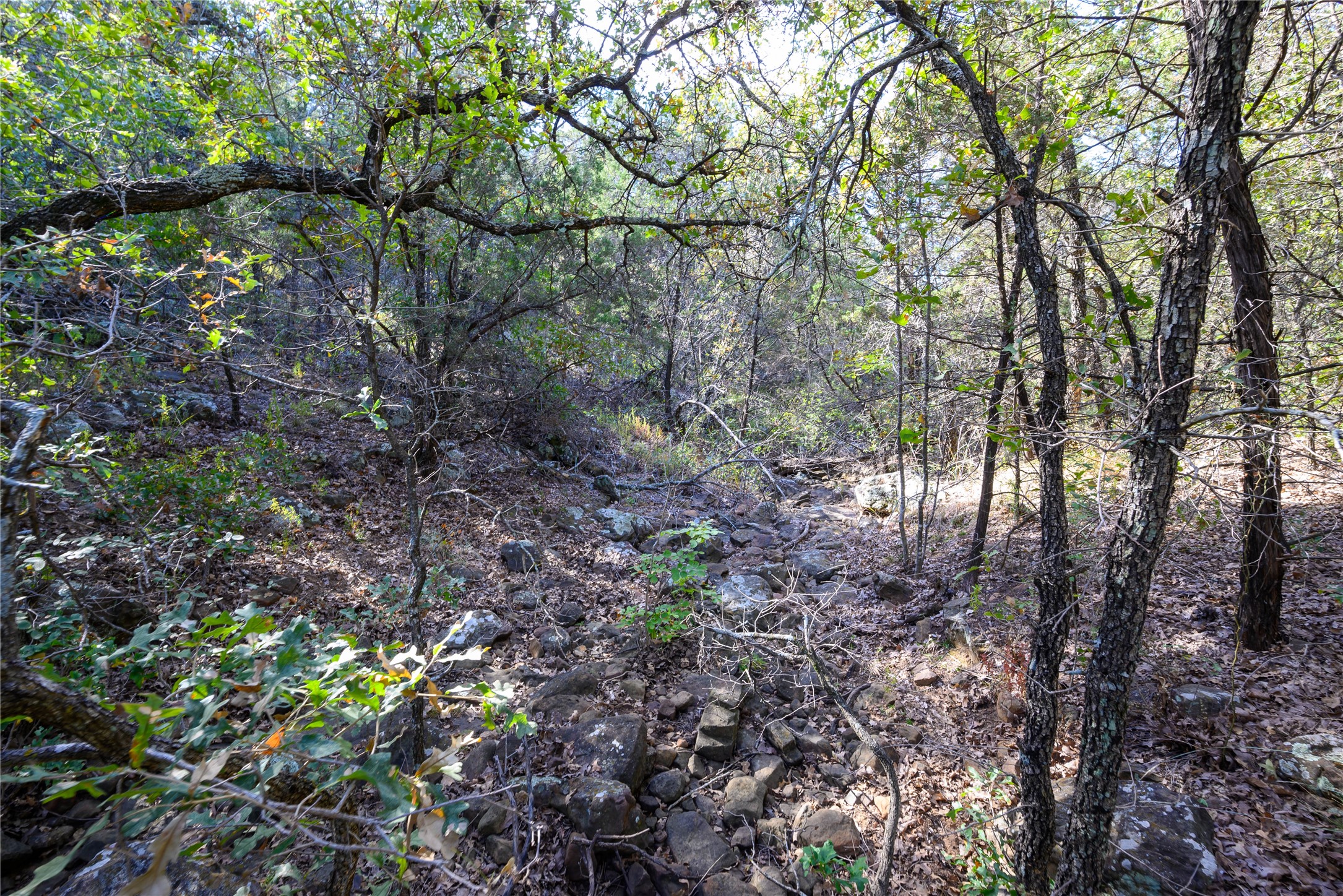 Tbd Ward Mount Santo TX 76472