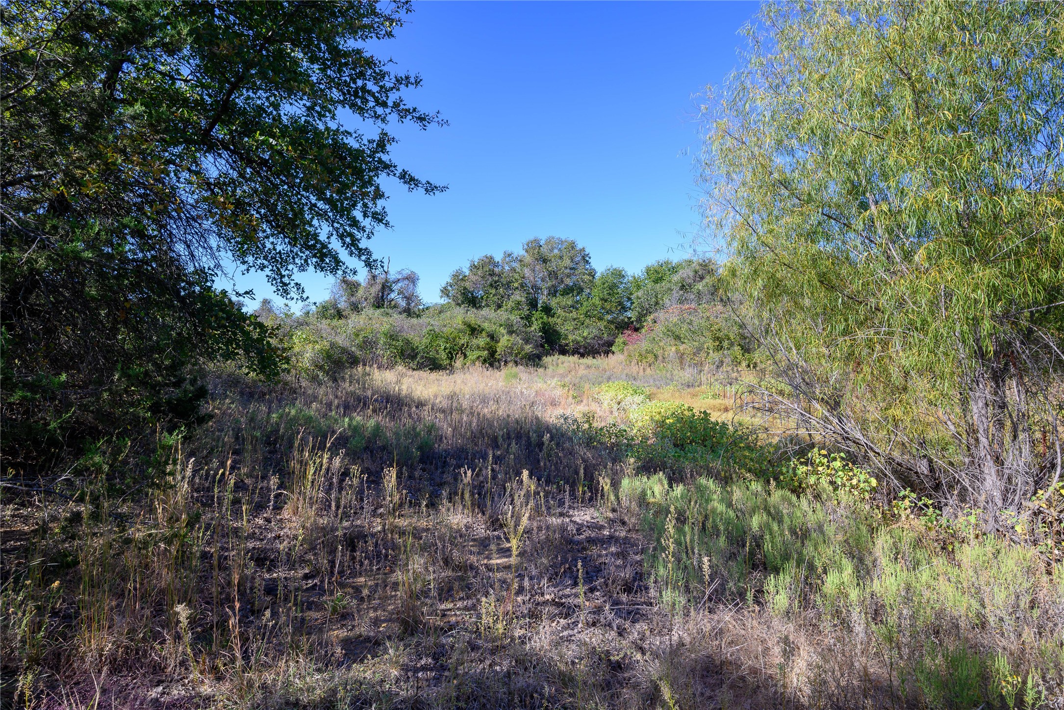 Tbd Ward Mount Santo TX 76472