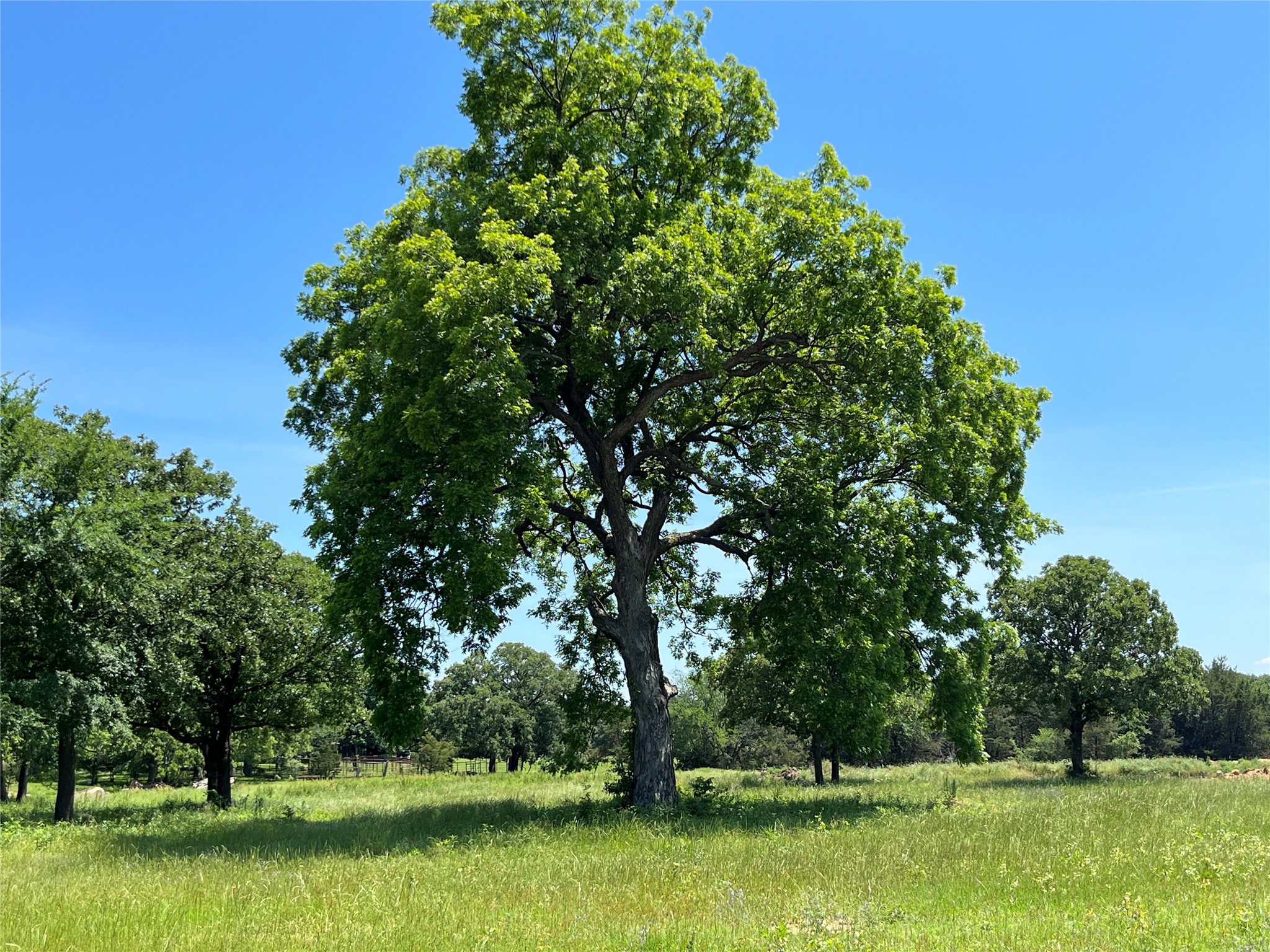 Lot 9 Kiowa Oaks Court Gainesville TX 76240