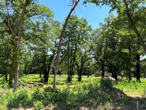 Lot 9 Kiowa Oaks Court Gainesville TX 76240