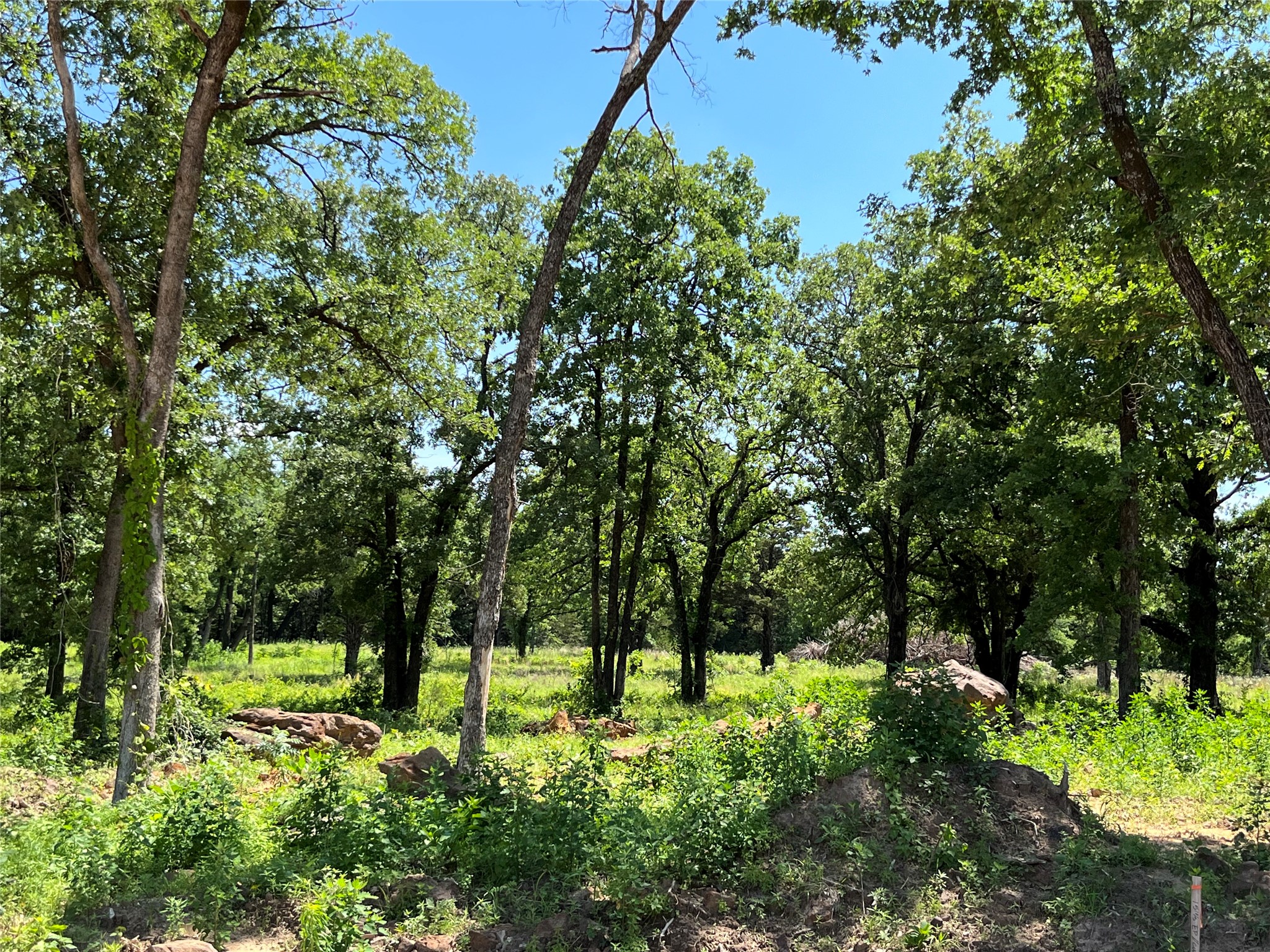 Lot 9 Kiowa Oaks Court Gainesville TX 76240
