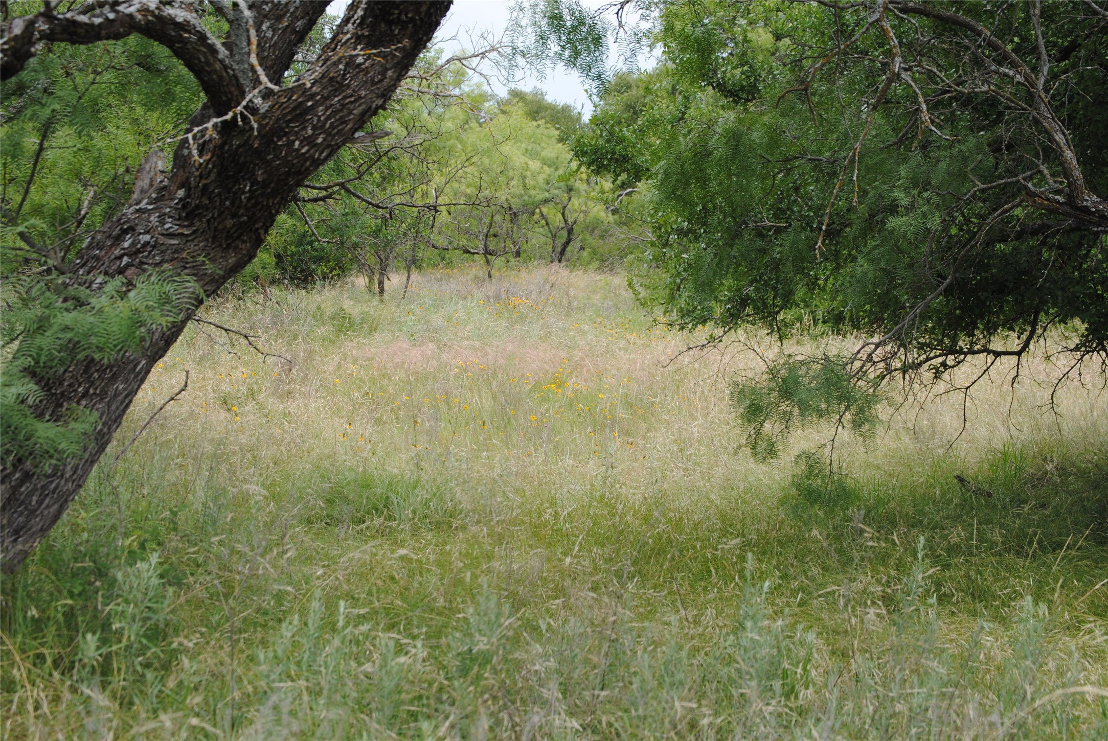 Tbd Cr 127 Rising Star TX 76857