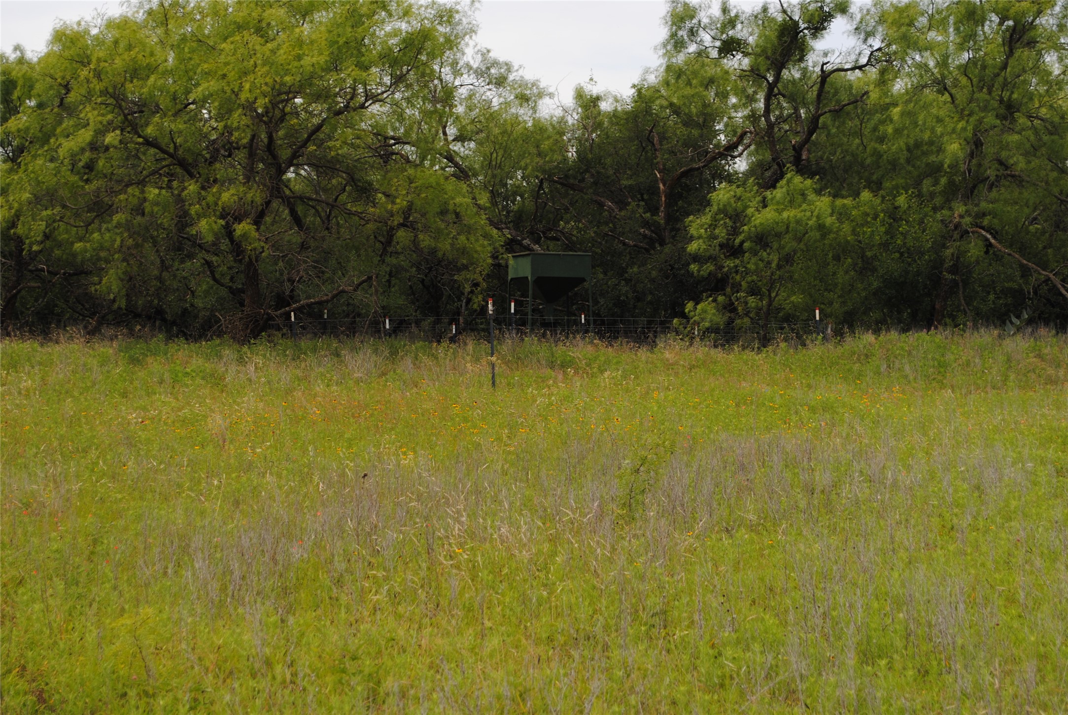Tbd Cr 127 Rising Star TX 76857