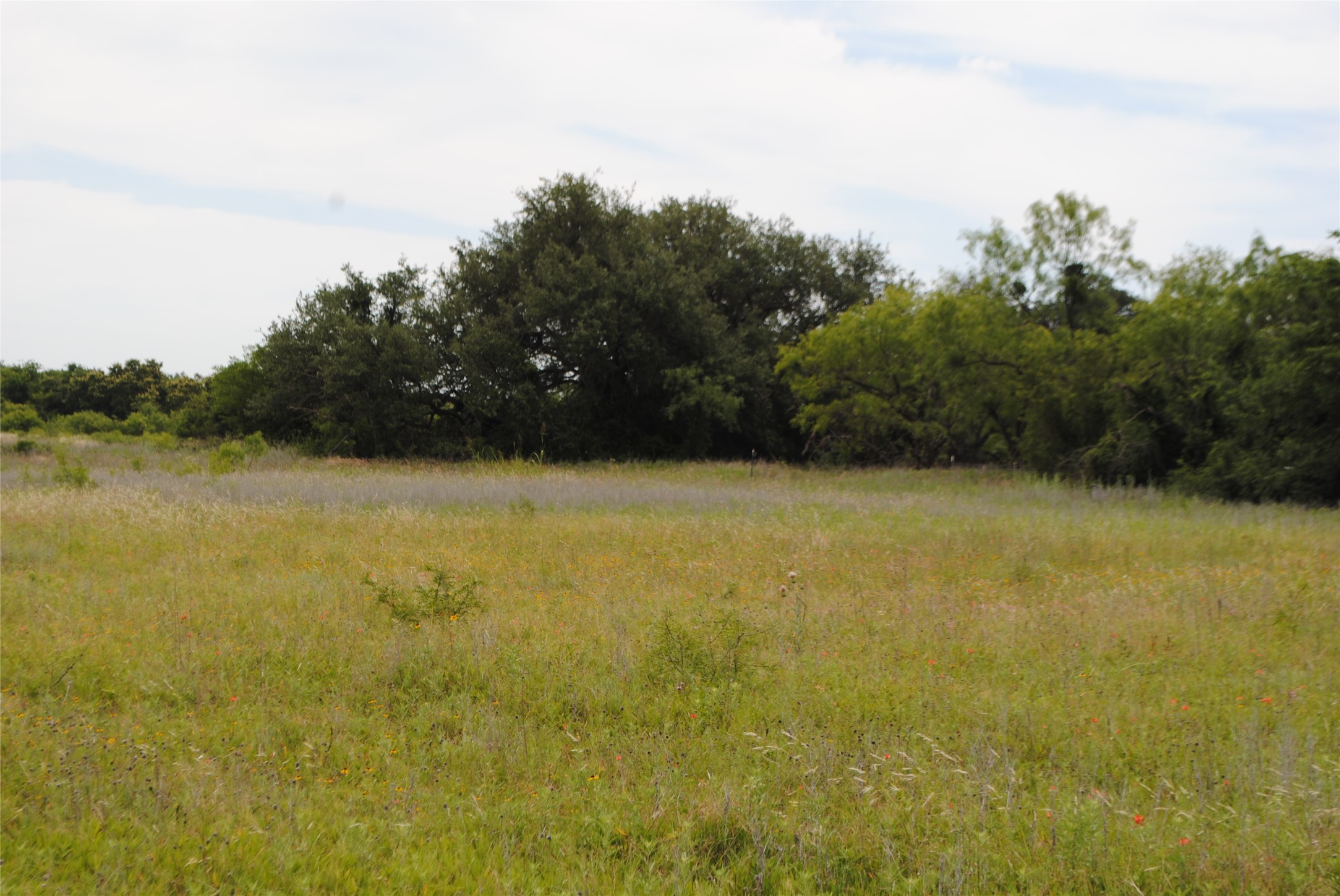 Tbd Cr 127 Rising Star TX 76857