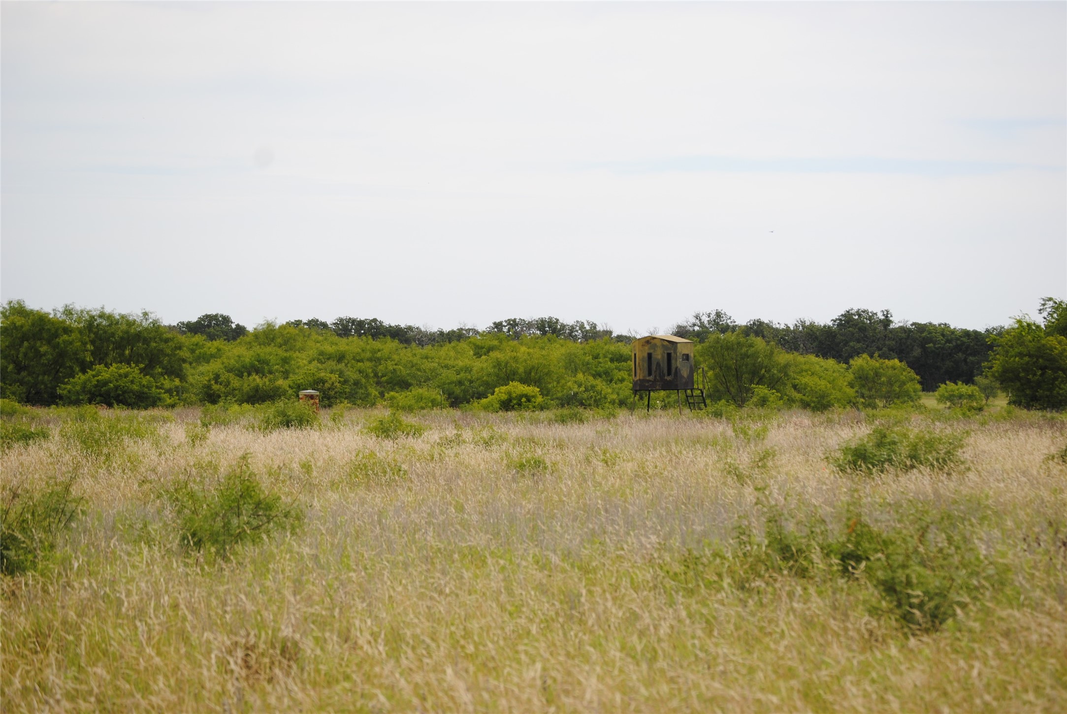 Tbd Cr 127 Rising Star TX 76857