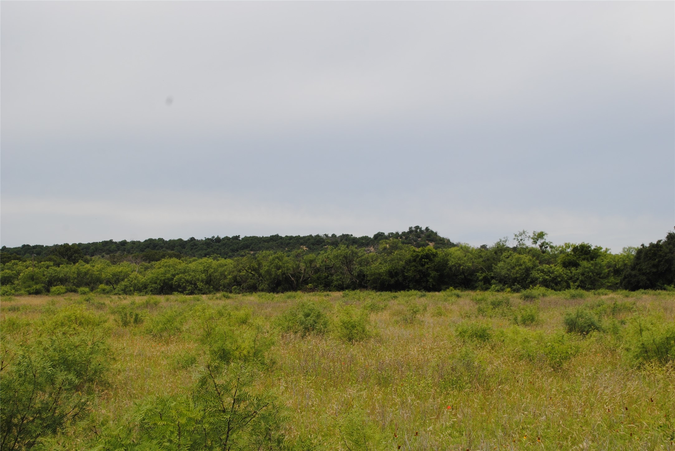 Tbd Cr 127 Rising Star TX 76857