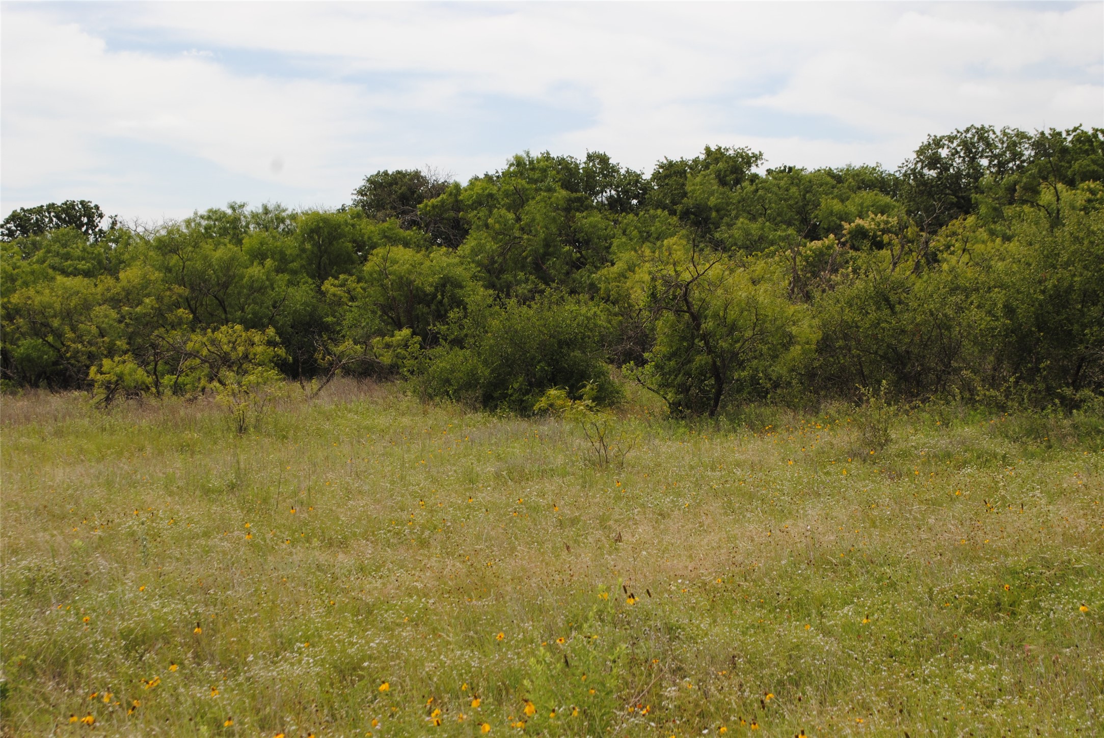 Tbd Cr 127 Rising Star TX 76857