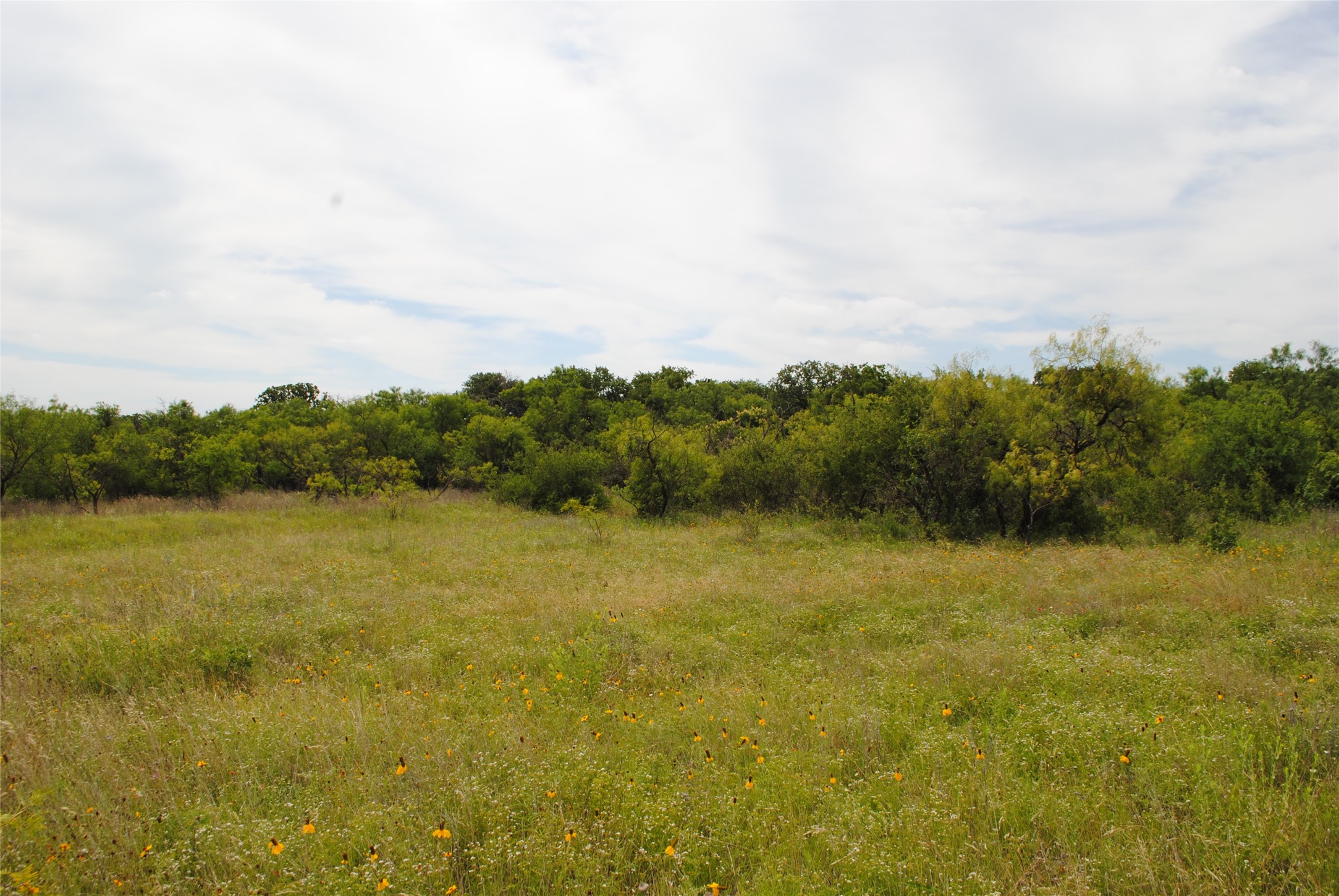 Tbd Cr 127 Rising Star TX 76857