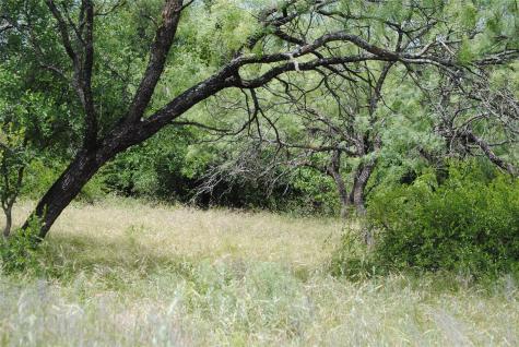 Tbd Cr 127 Rising Star TX 76857