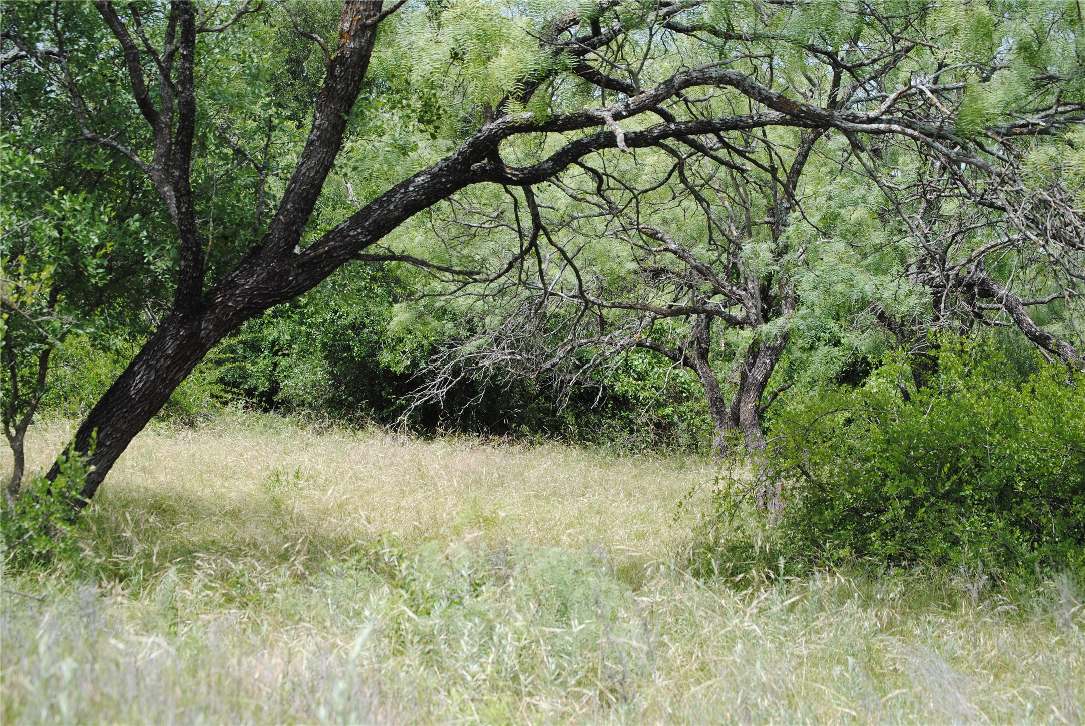 Tbd Cr 127 Rising Star TX 76857