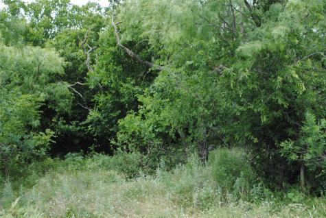 Tbd Cr 127 Rising Star TX 76857