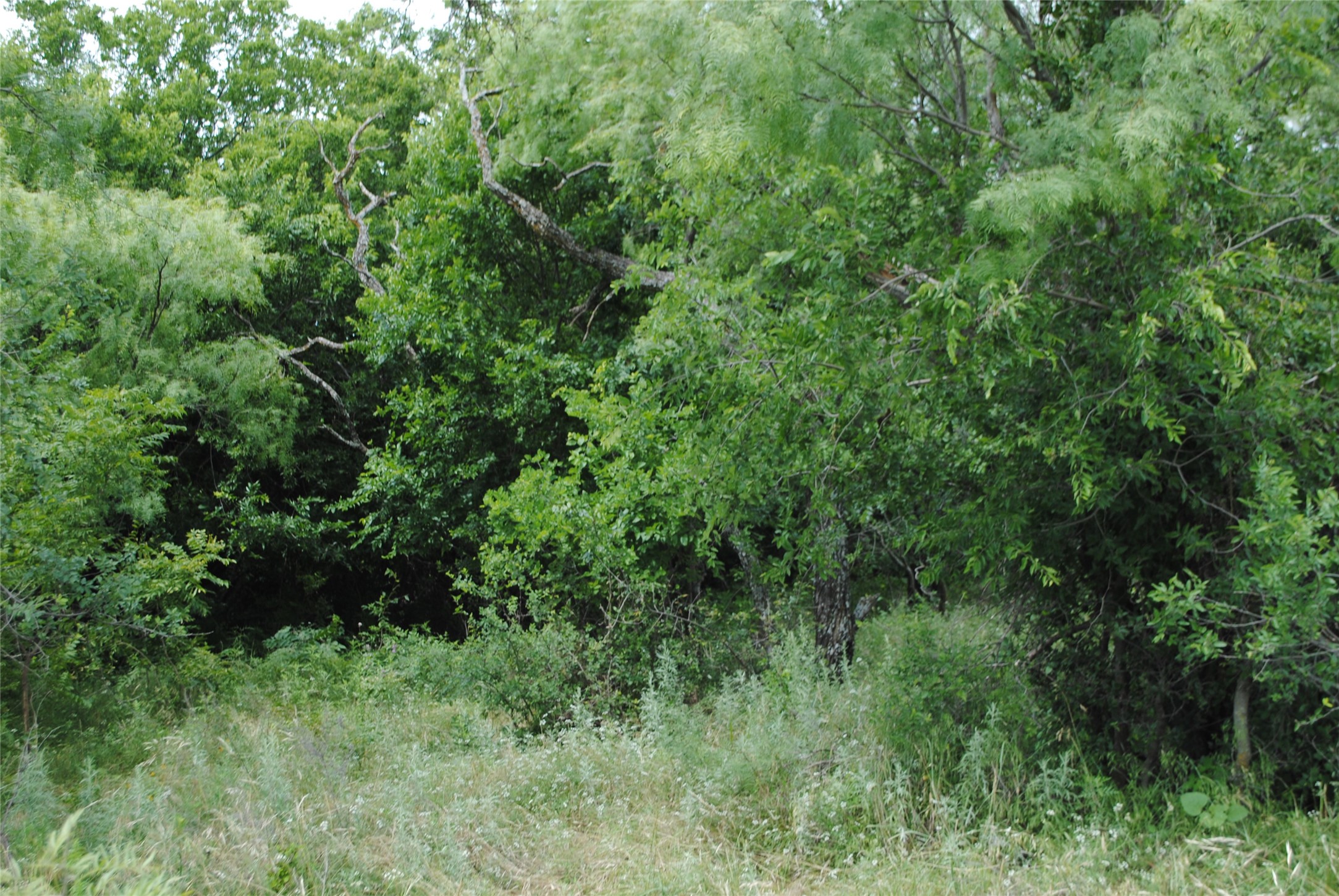 Tbd Cr 127 Rising Star TX 76857