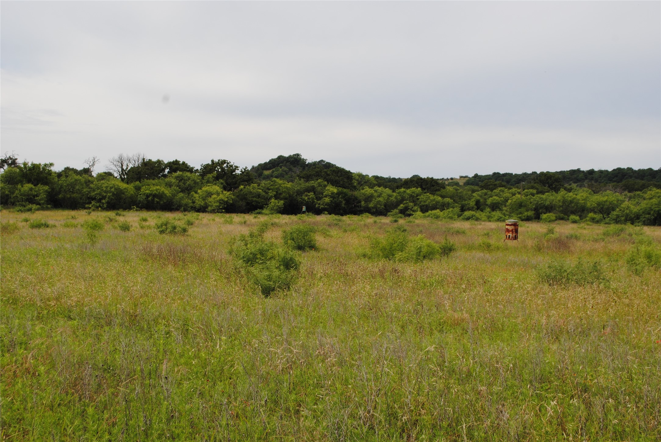 Tbd Cr 127 Rising Star TX 76857