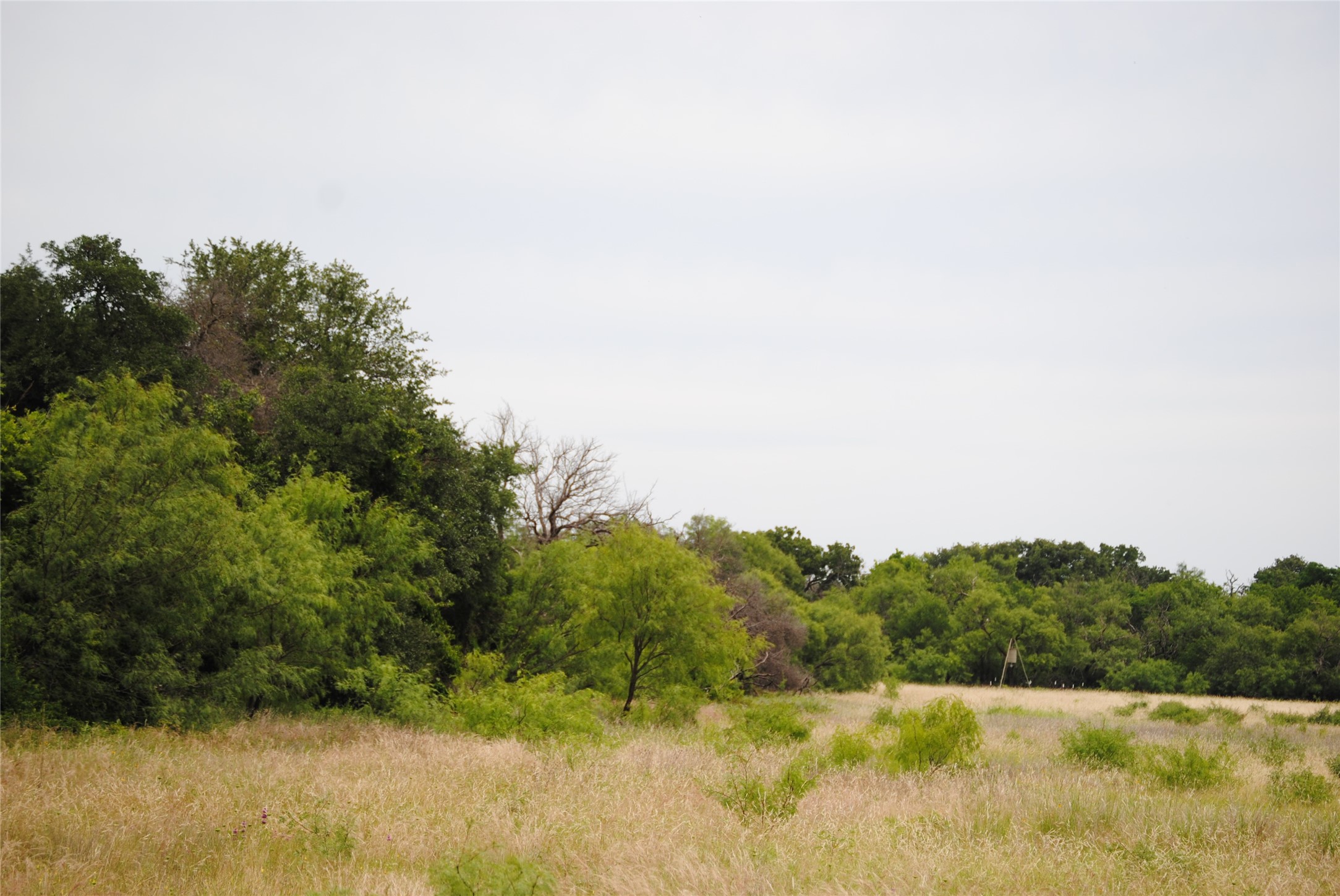 Tbd Cr 127 Rising Star TX 76857