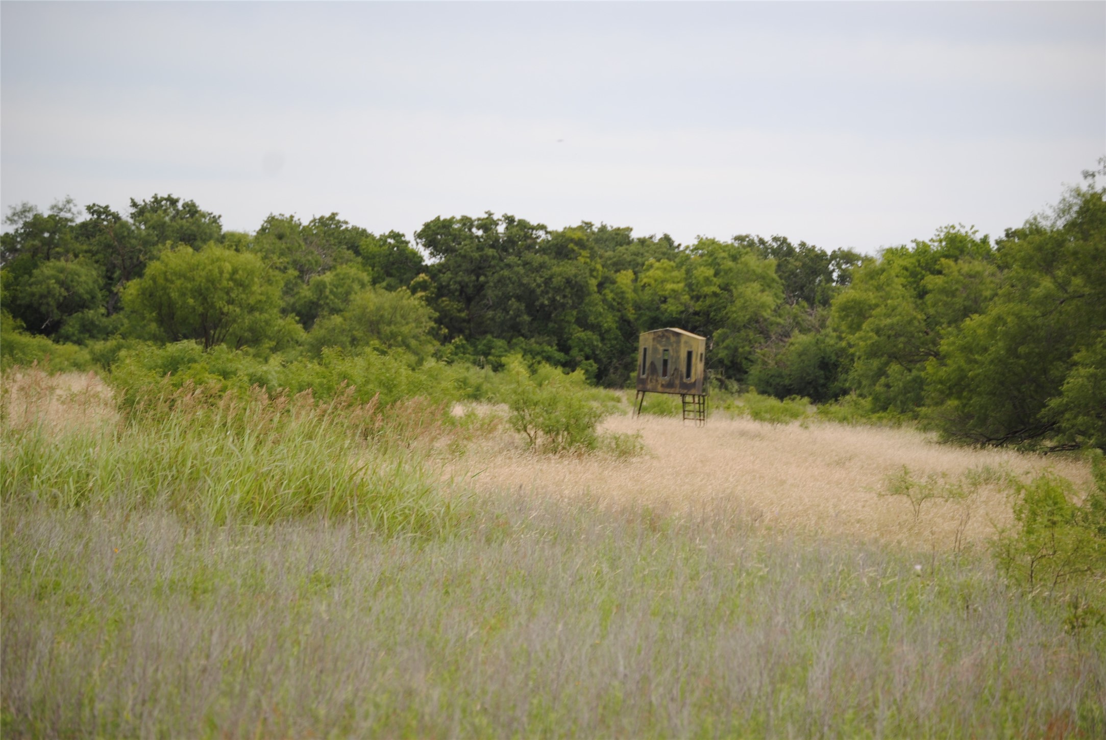 Tbd Cr 127 Rising Star TX 76857