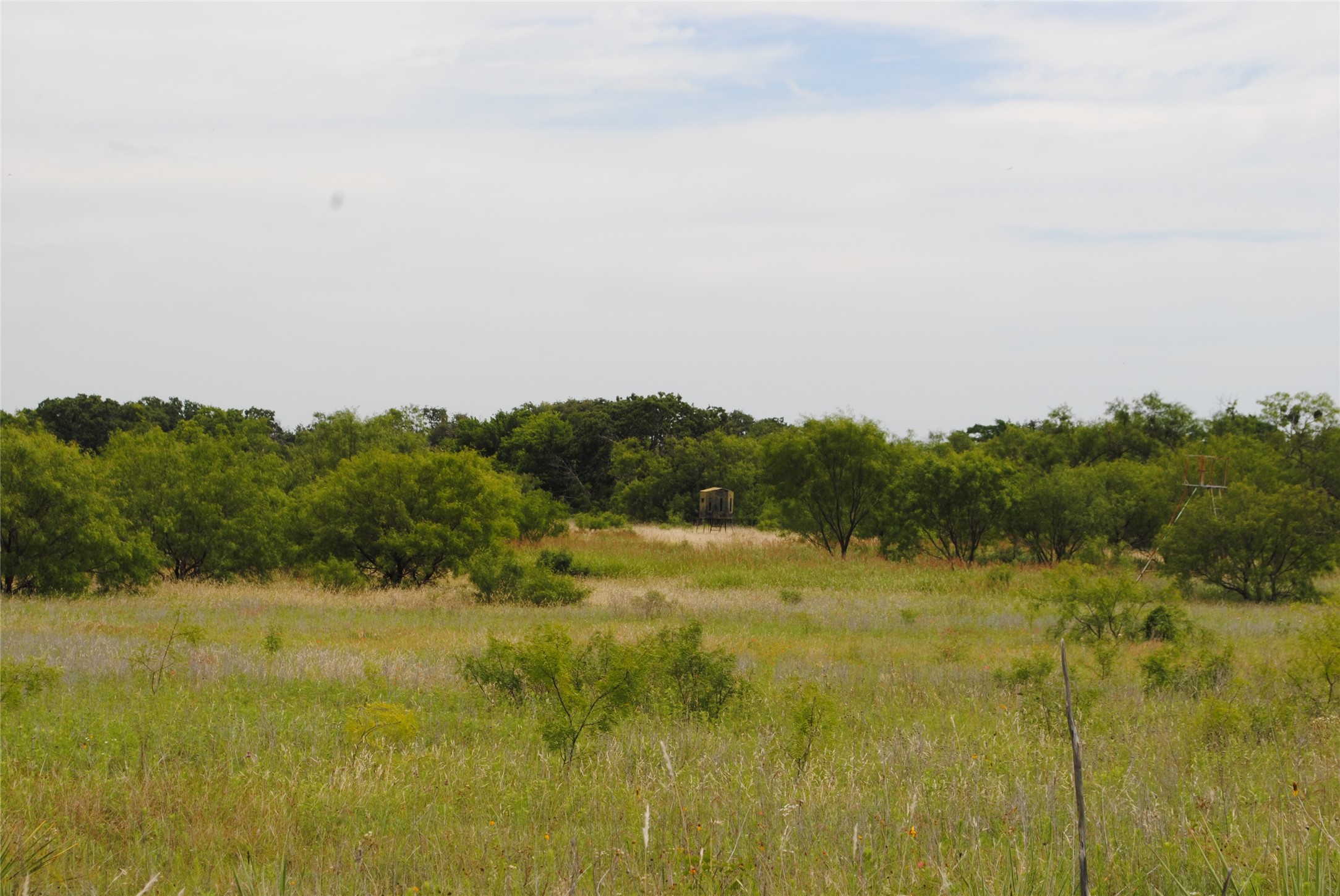 Tbd Cr 127 Rising Star TX 76857