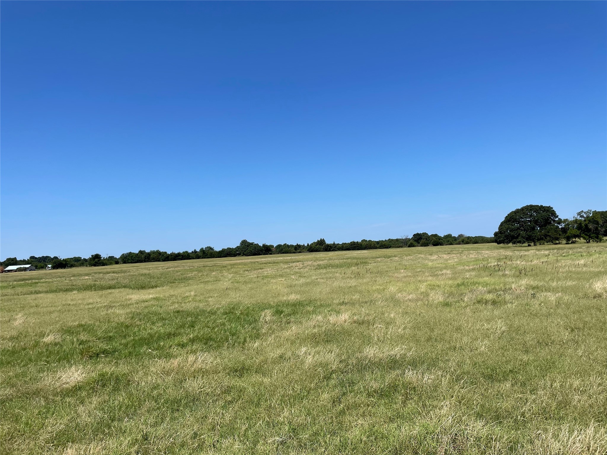 Tbd County Road 2150 Telephone TX 75488