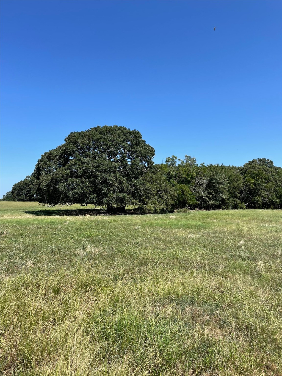 Tbd County Road 2150 Telephone TX 75488