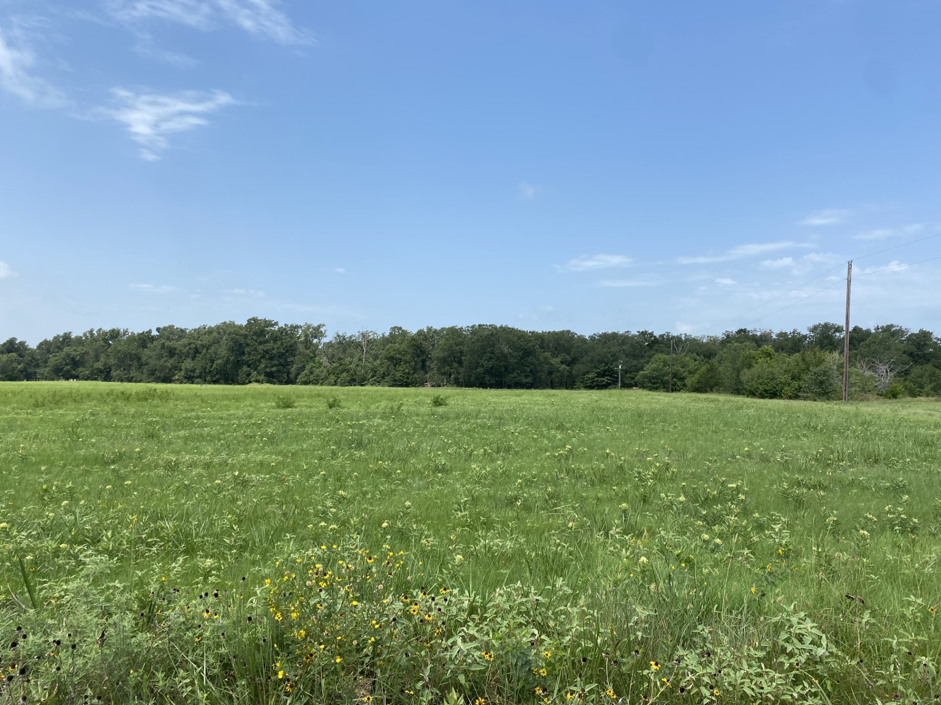 Tract 3 Tbd Cr 3631 Dike TX 75437