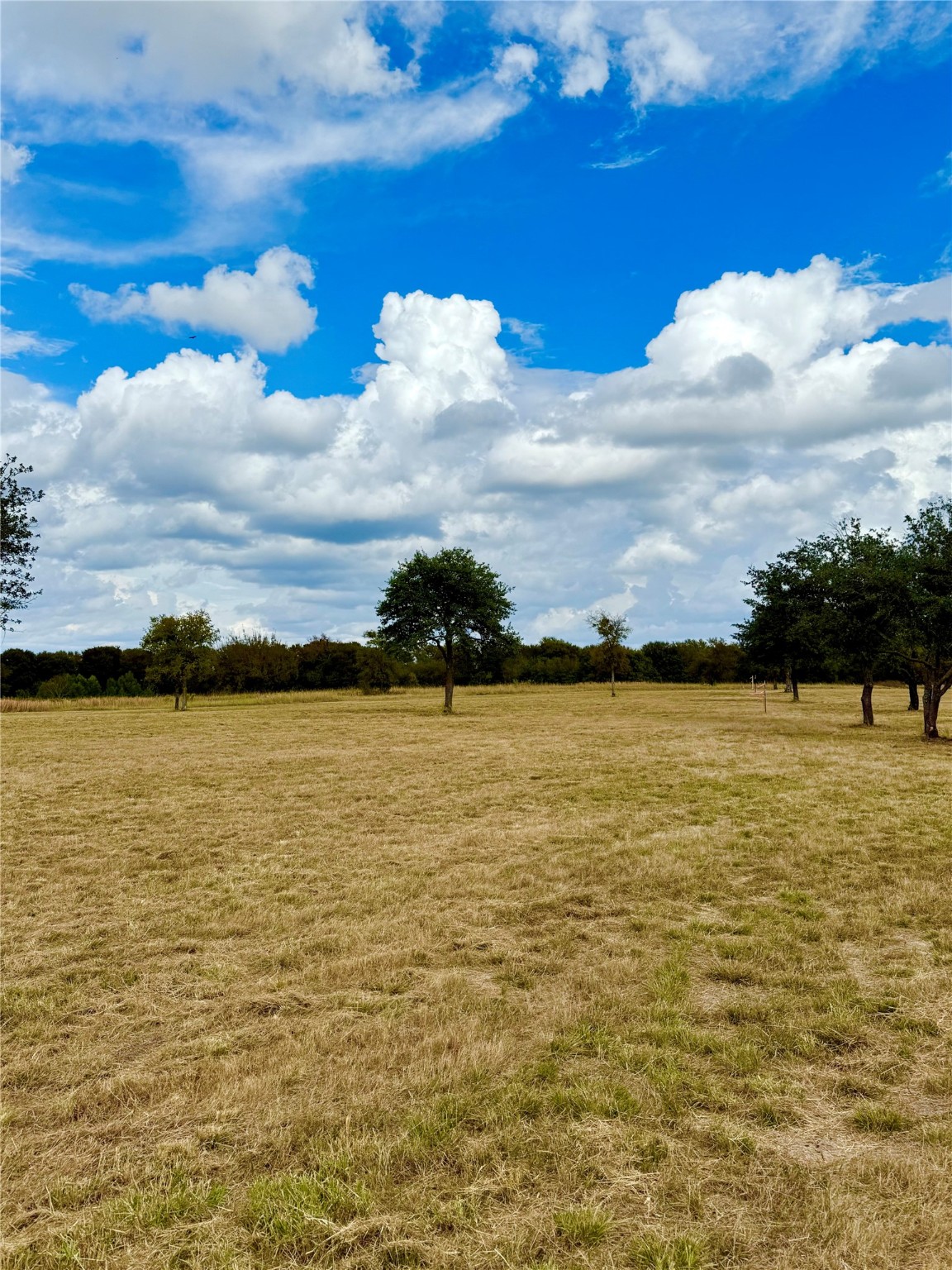 Tbd Lot 13 County Road 3811 Wills Point TX 75169