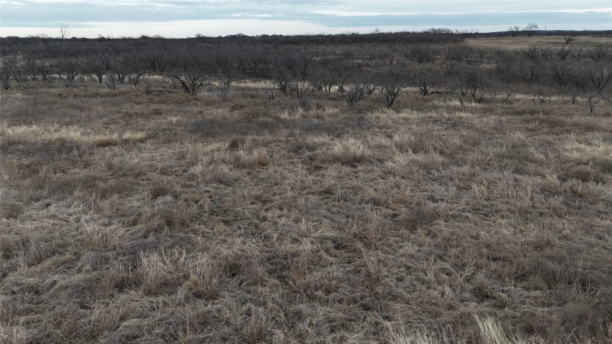 Tbd Hcr 3320 Hubbard TX 76648