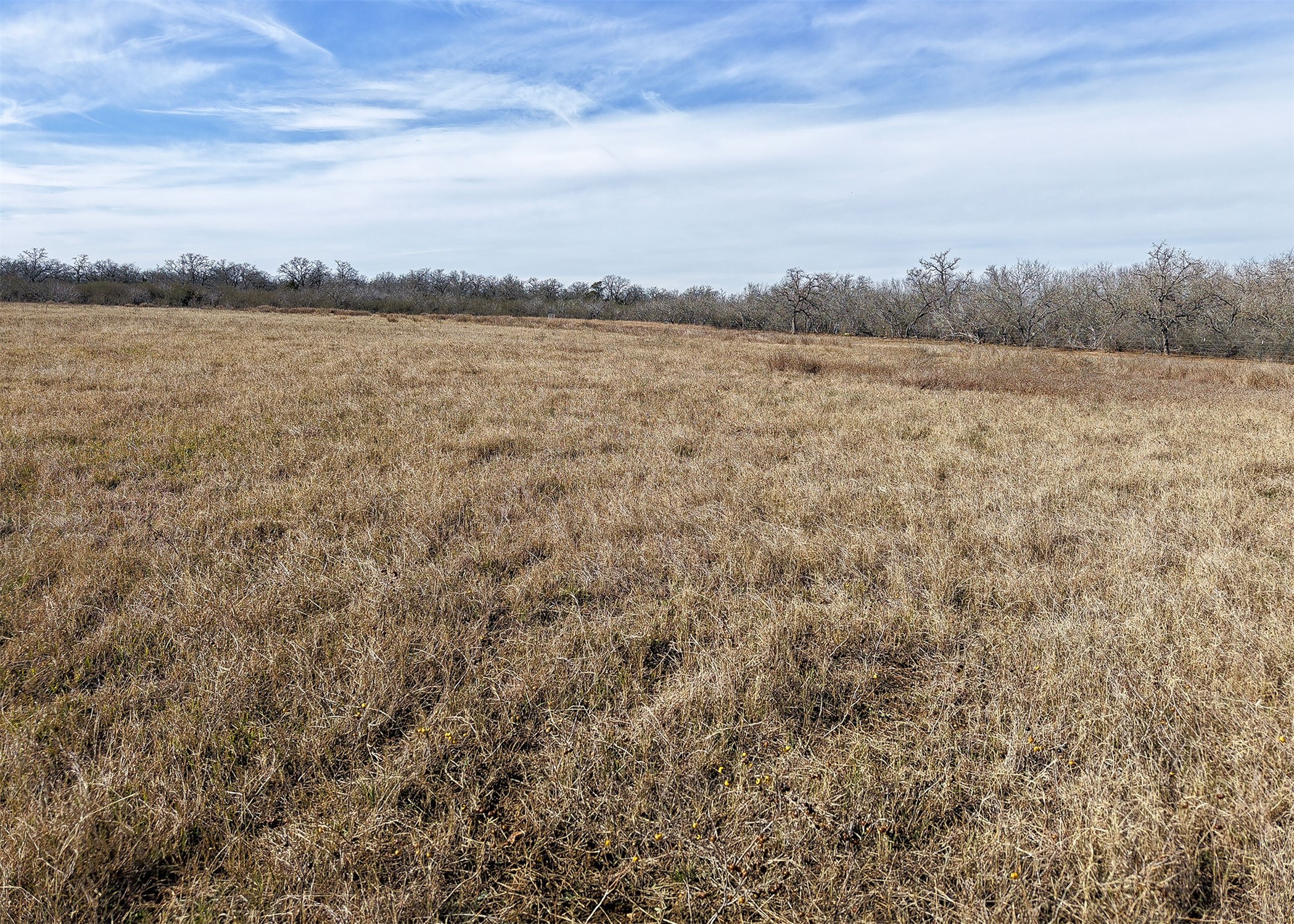956 Johnson Farms Road Gonzales TX 78632