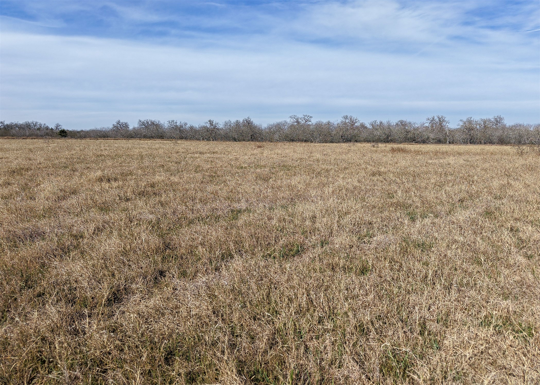 956 Johnson Farms Road Gonzales TX 78632