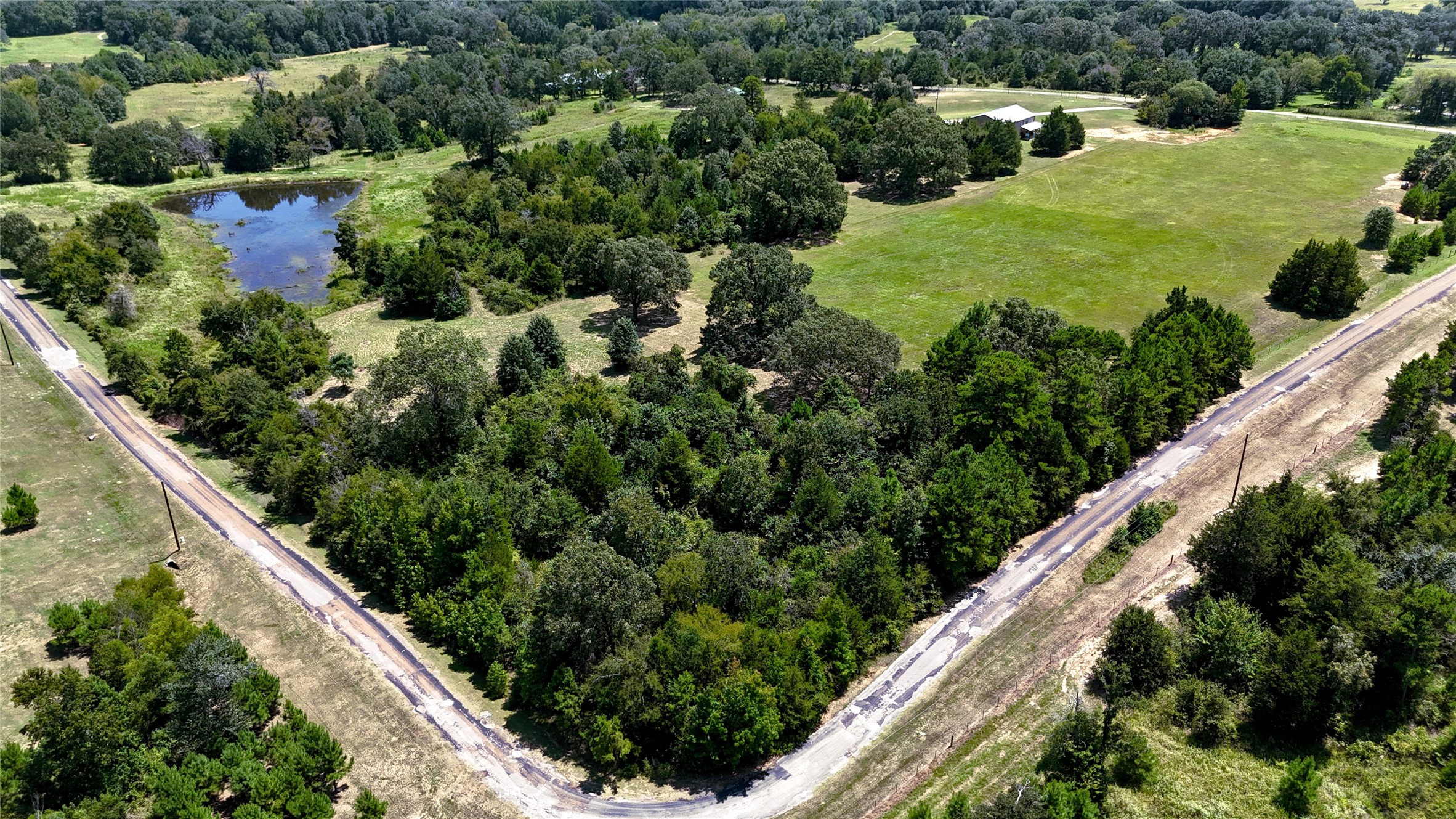 Tbd Lee Drive Murchison TX 75778