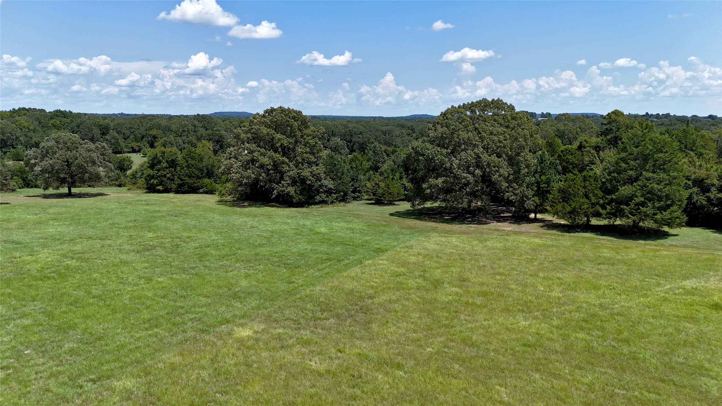 Tbd Lee Drive Murchison TX 75778